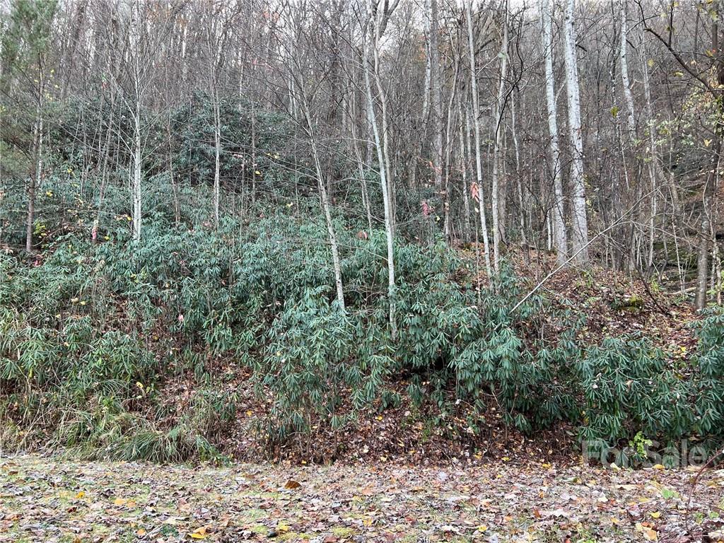 Gateway Mountain - Land