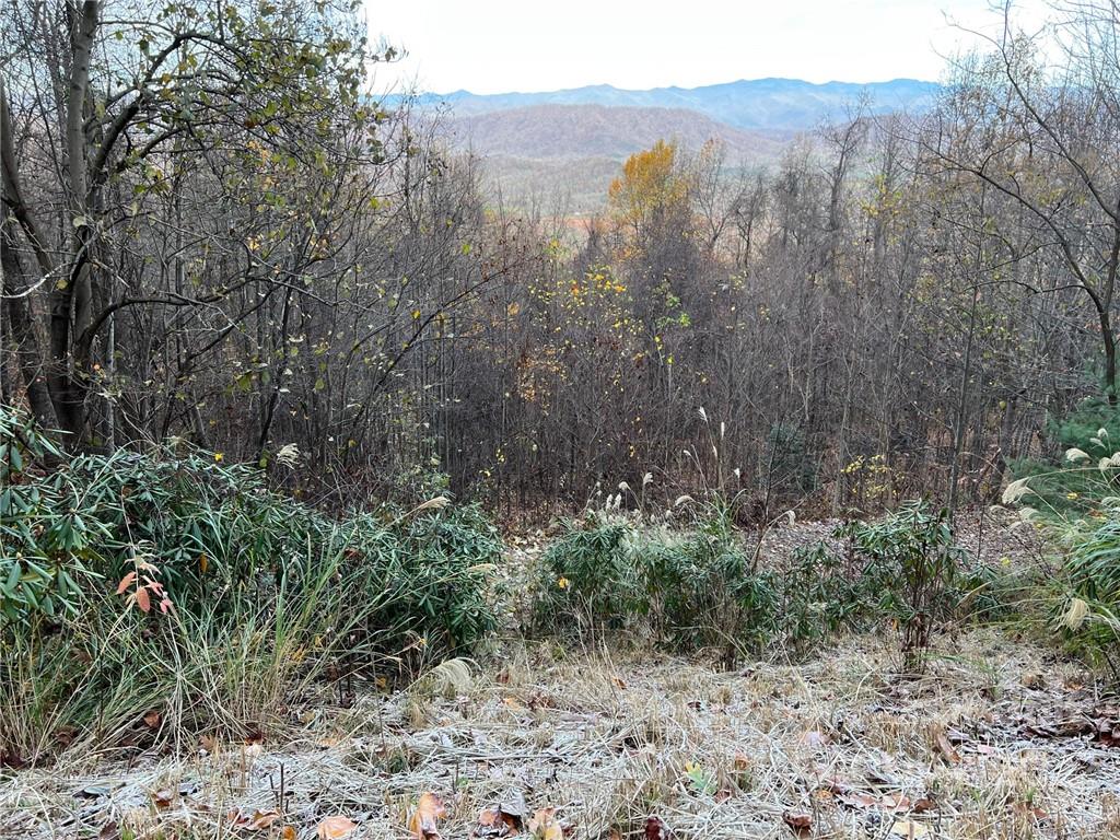 Gateway Mountain - Land