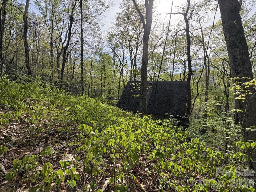 Welcome to the mountain holler, tucked away in the quiet expanse of Harwood Valley north of Weaverville, this 7-acre parcel offers a rare retreat into the rugged landscape of North Buncombe County. The terrain is characterized by a steep, dramatic elevation, providing a true sense of isolation with no audible road noise and no improved neighboring properties in sight. Multiple streams and creeks traverse the acreage, Large-scale boulders are integrated into the topography. Access is provided via a common easement that leads deep into the property to a long-abandoned off-grid cabin. Though the structure itself holds no value and has sat unoccupied for decades, its placement is remarkable, situated directly beneath an immense boulder. This specific site overlooks the North Fork Valley, offering expansive mountain views that shift with the seasons. This is an ideal canvas for those seeking a challenging build site or a private conservation-style escape. Potential buyers should be prepared for a steep hike to fully appreciate the unique geological features and the total privacy this hollow provides, the common easement is impassible by most vehicles. The Harwood Valley is something special, so book your showing and schedule your hike today!