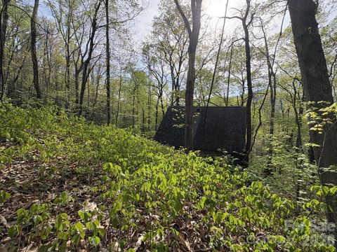 999999 Harwood Road Barnardsville NC 28709