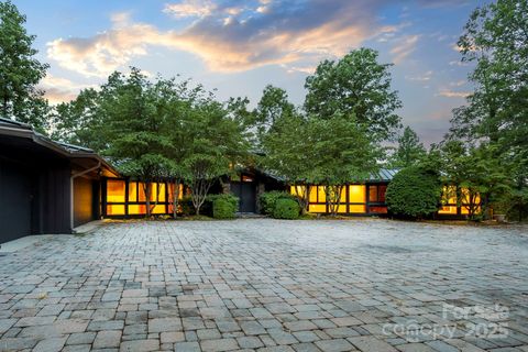 130 Piney Ridge Lane Saluda NC 28773
