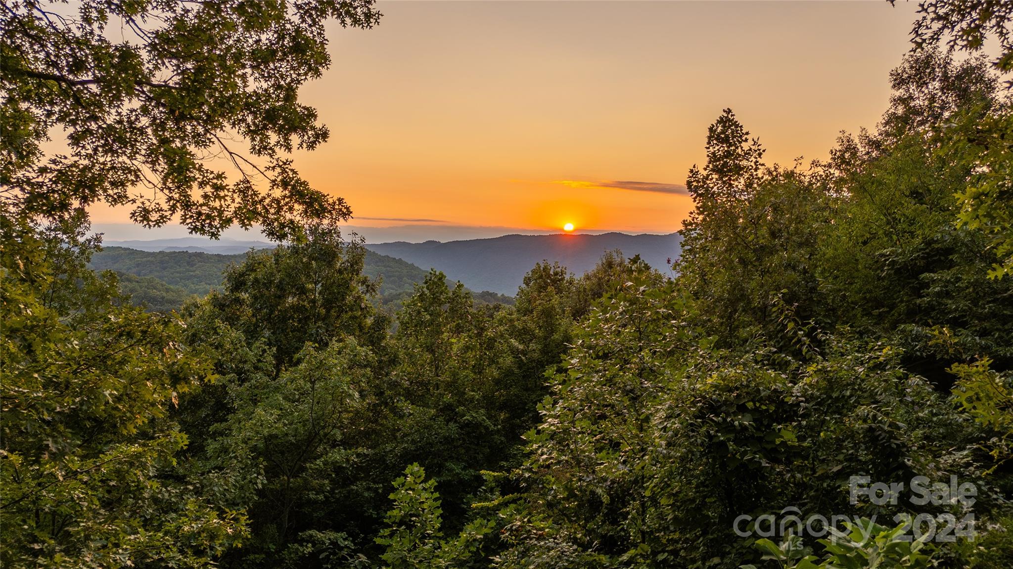 130 Piney Ridge Lane