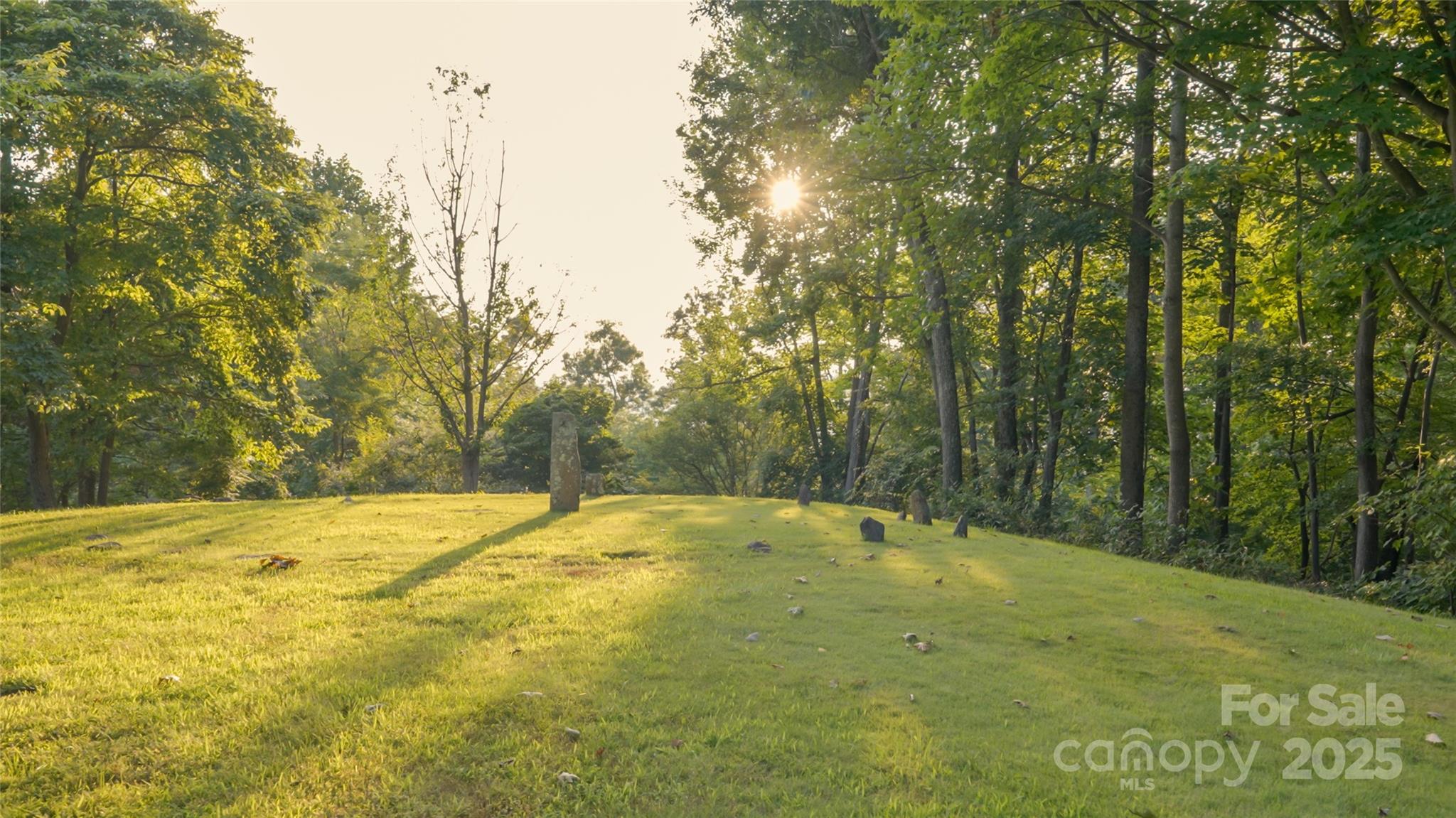 Piney Mountain - Residential