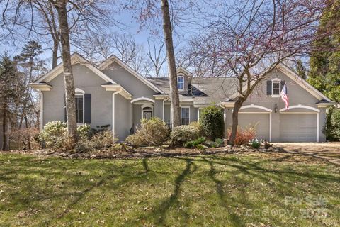 23 Kings Mill Court Biltmore Lake NC 28715