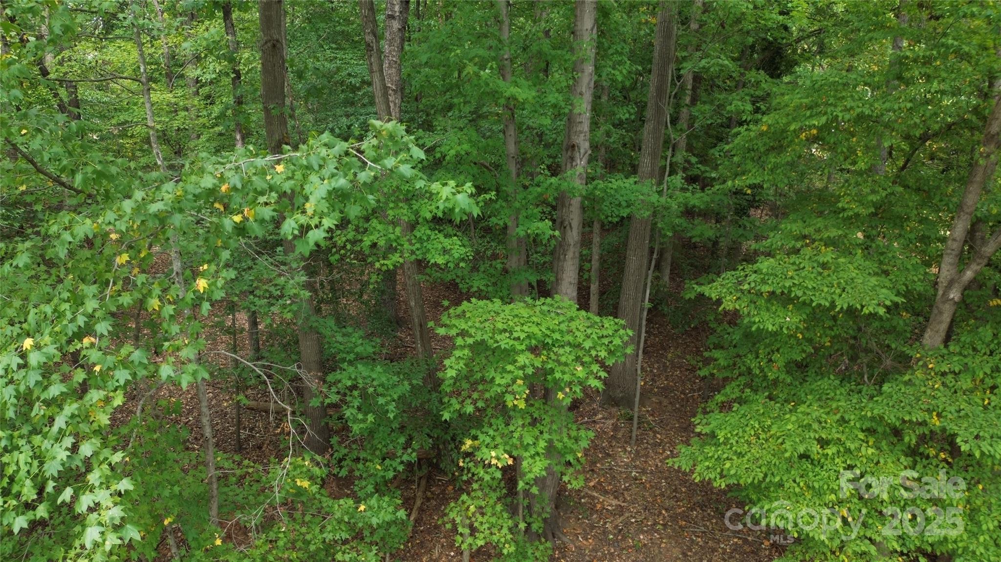 Lebanon Heights - Land