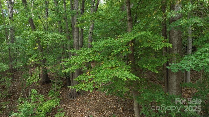 Discover the perfect blend of privacy, potential, and location with this 2.27-acre wooded lot in a long-standing Charlotte neighborhood. Zoned N1-A(ANDO) and free from HOA restrictions, this unique property offers the flexibility to build a custom residence or explore the possibility of subdividing. Tucked away in a subdivision, yet just a short distance from Uptown Charlotte, the airport, outlet shopping/dining, and major interstates — this is an ideal location for those who desire seamless access to the city while enjoying a serene, wooded backdrop. Whether you're looking to break ground or make a strategic investment in one of Charlotte’s growing areas, this land is a rare find with limitless potential. Schedule your visit today!
