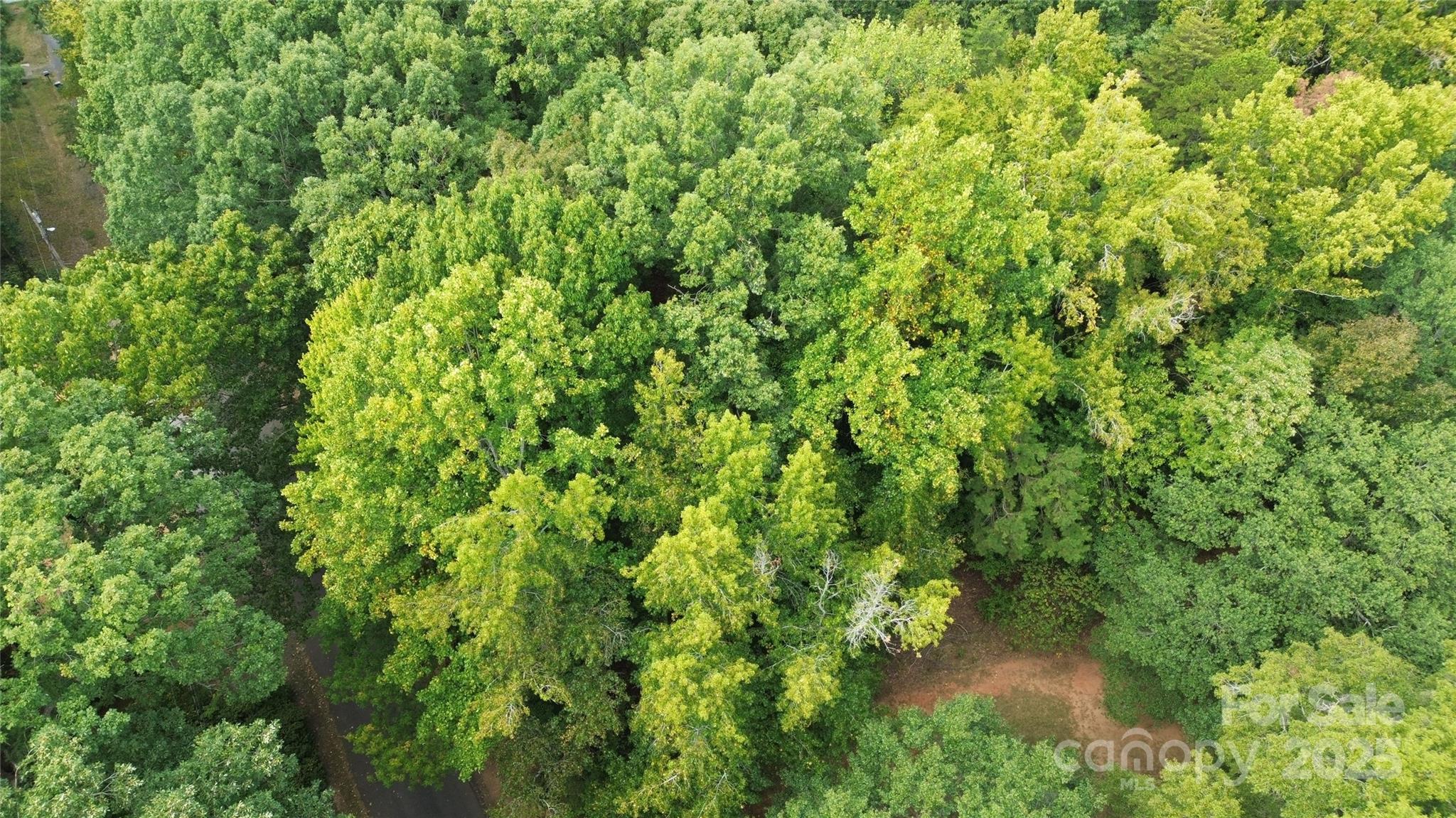 Lebanon Heights - Land