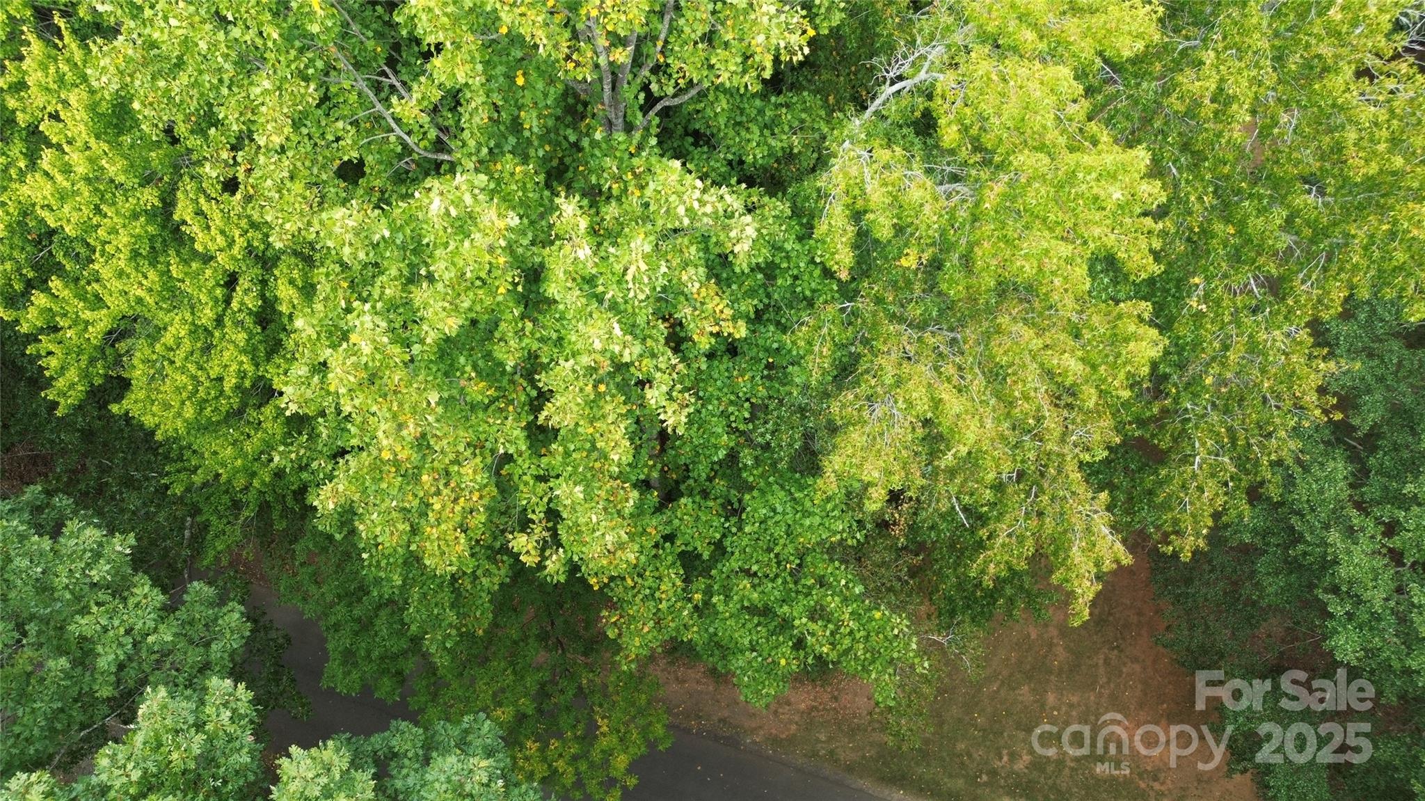 Lebanon Heights - Land