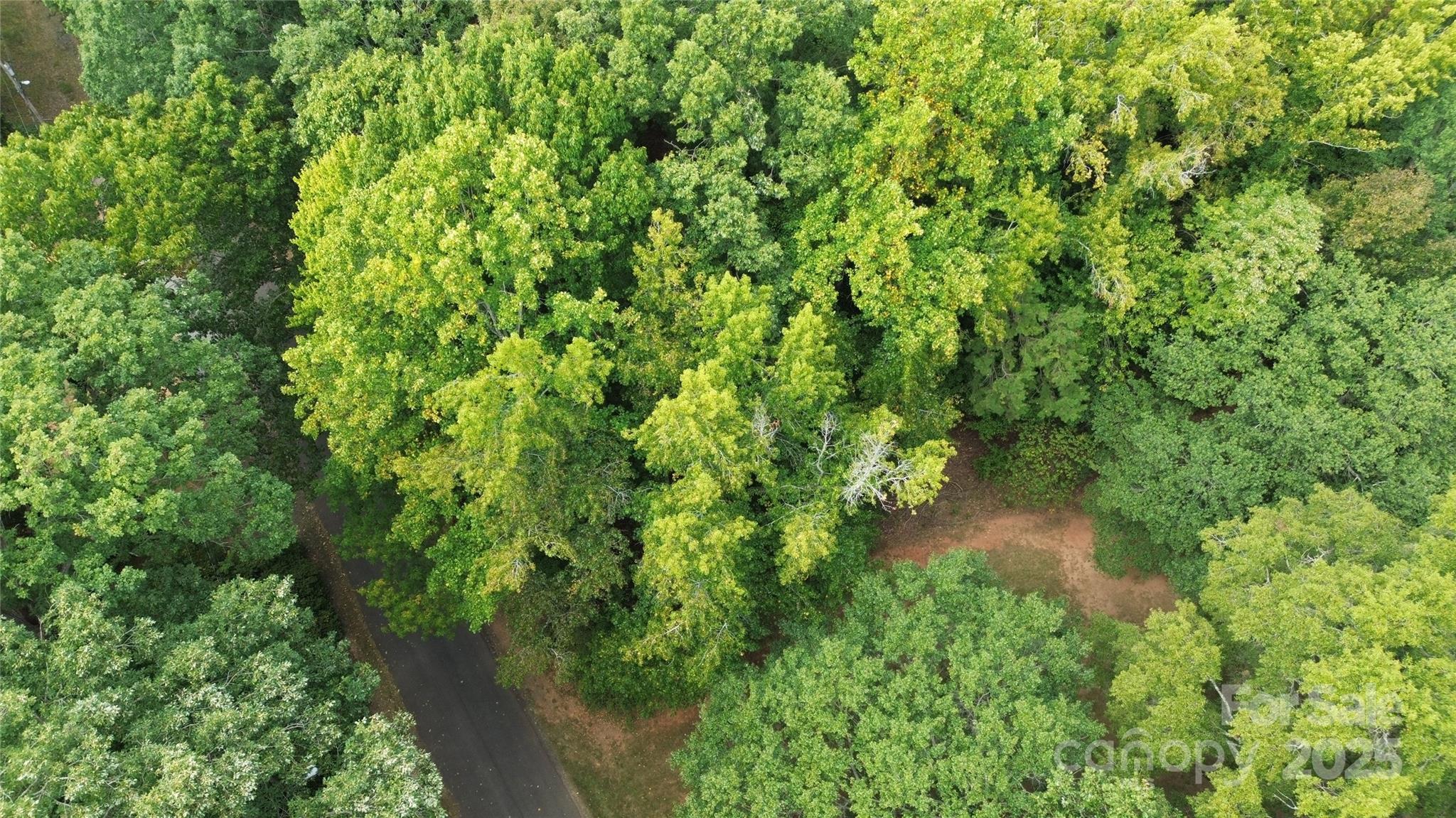 Lebanon Heights - Land