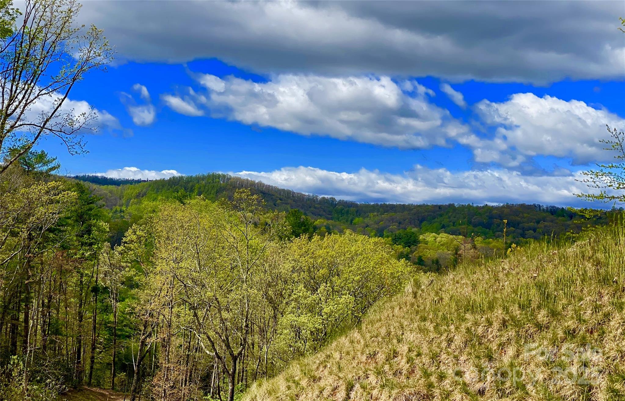 83 Curtain Bluff r6