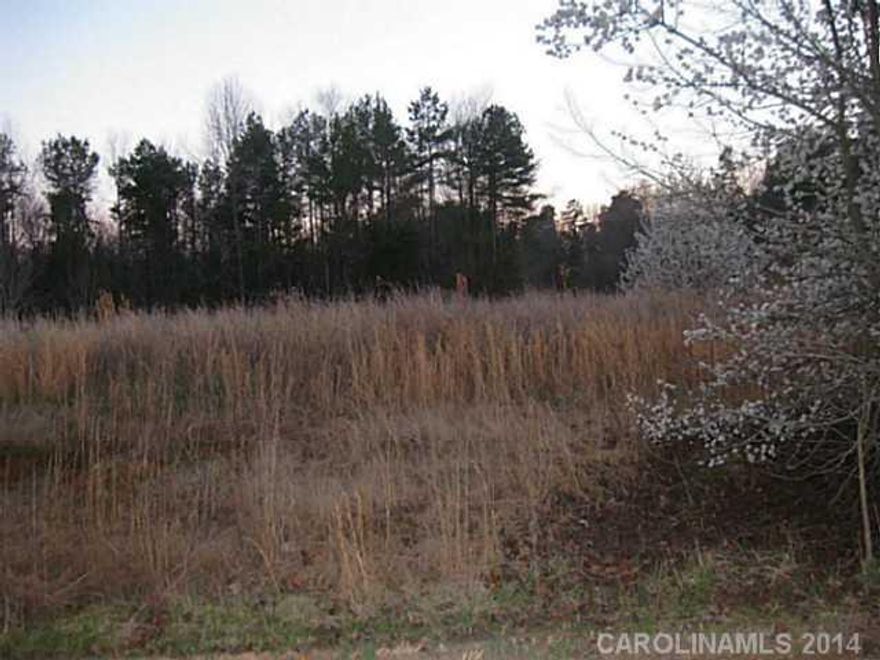 Well situated lot in lovely rural area. Flat contour & partially wooded. No HOA!