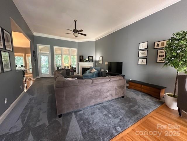 126 Doyle Farm Lane