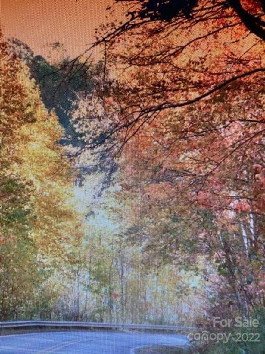 WOLF LAUREL COUNTRY CLUB RESORT...Beautiful VACANT LOT located on one of the highest ridges in all of Western NC. Mars Hill, NC  is such a scenic area to build your primary retirement home or a relaxing secondary vacation home. Elevations - 4000-5000 ft located in Yancey county NC. Enjoy spectacular views w/mtn. golfing. Only 27 miles north of Asheville, NC and only 29 miles north of Johnson City, Bristol and Kingsport, TN.  Build your mountain home overlooking "Big Bald Mountain" the 3rd largest peak in the Appalachian. Some of the great features the resort has to offer are: 18-hole championship mtn. golf course that winds through the Resort, lounge for afternoon dinners/drinks in the country club clubhouse, fitness center, tennis and game courts, golf membership and social memberships are available. Wolf Laurel makes for a great escape for nature lovers, golfers, hikers, and simply makes for a wonderful place to build memories w/ friends and family!  
 ** ELEVATE, ESCAPE & ENJOY ***