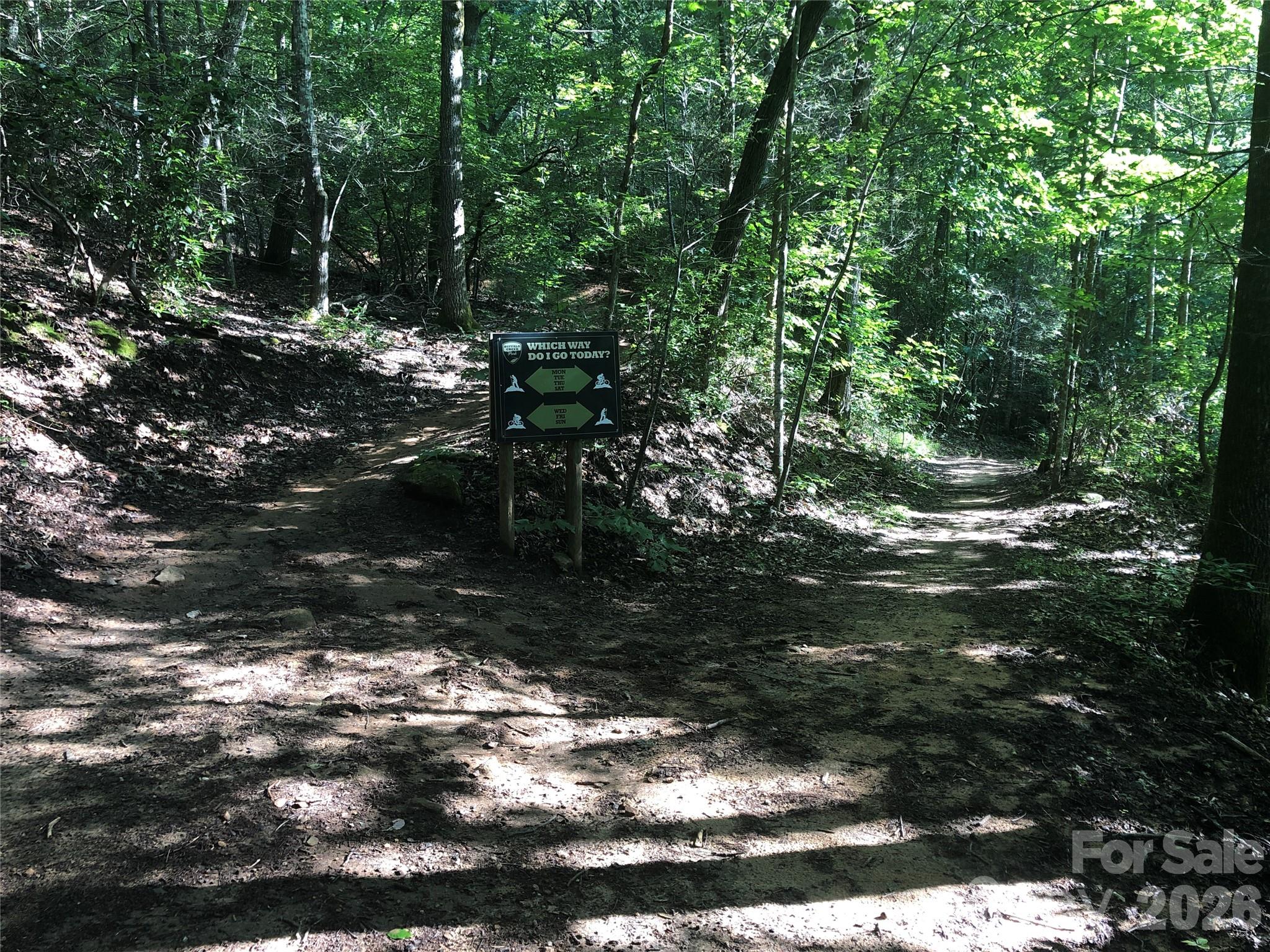 Rumbling Bald on Lake Lure - Residential