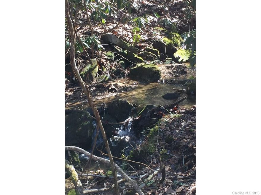 21+ acres of beautiful property in the Green River Gorge near Fishtop river access area. This property is abundant with wildlife. Old logging roads run through the land which slopes up and away from the Green River Cove Road. State Gamelands close by for hunting and recreational activities.