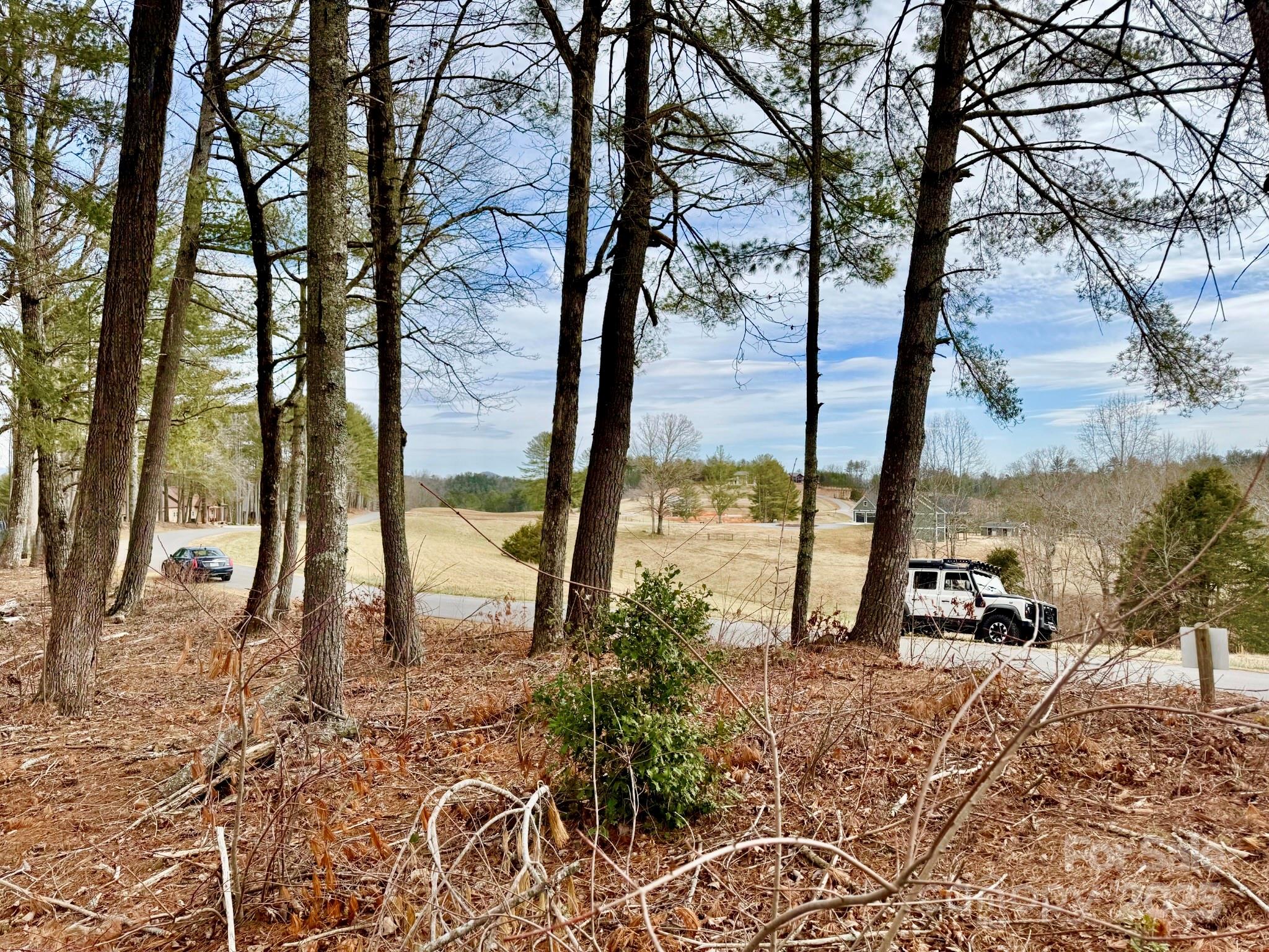 3.32 acres, Lot G23 Thoroughbred Way G23