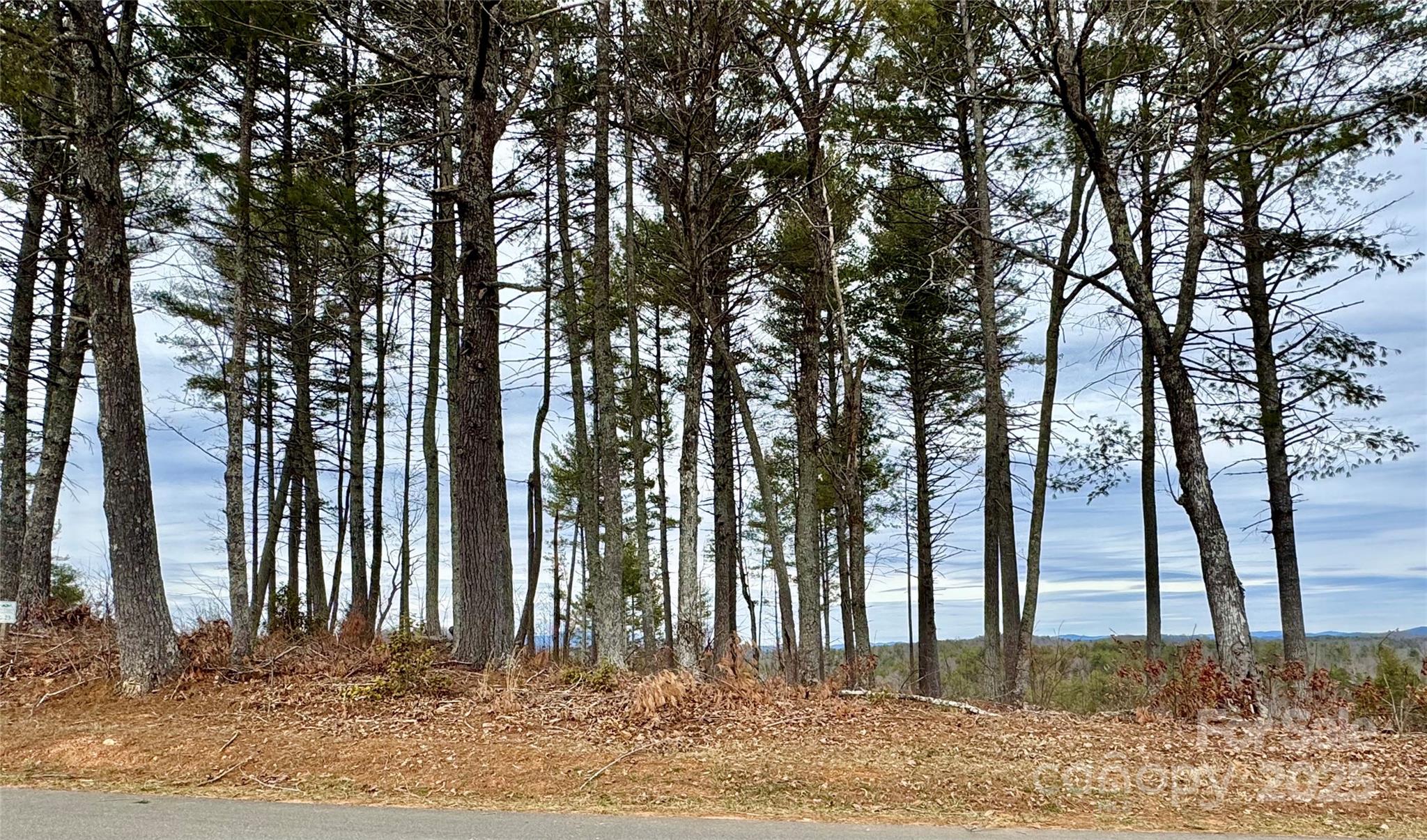 3.32 acres, Lot G23 Thoroughbred Way G23