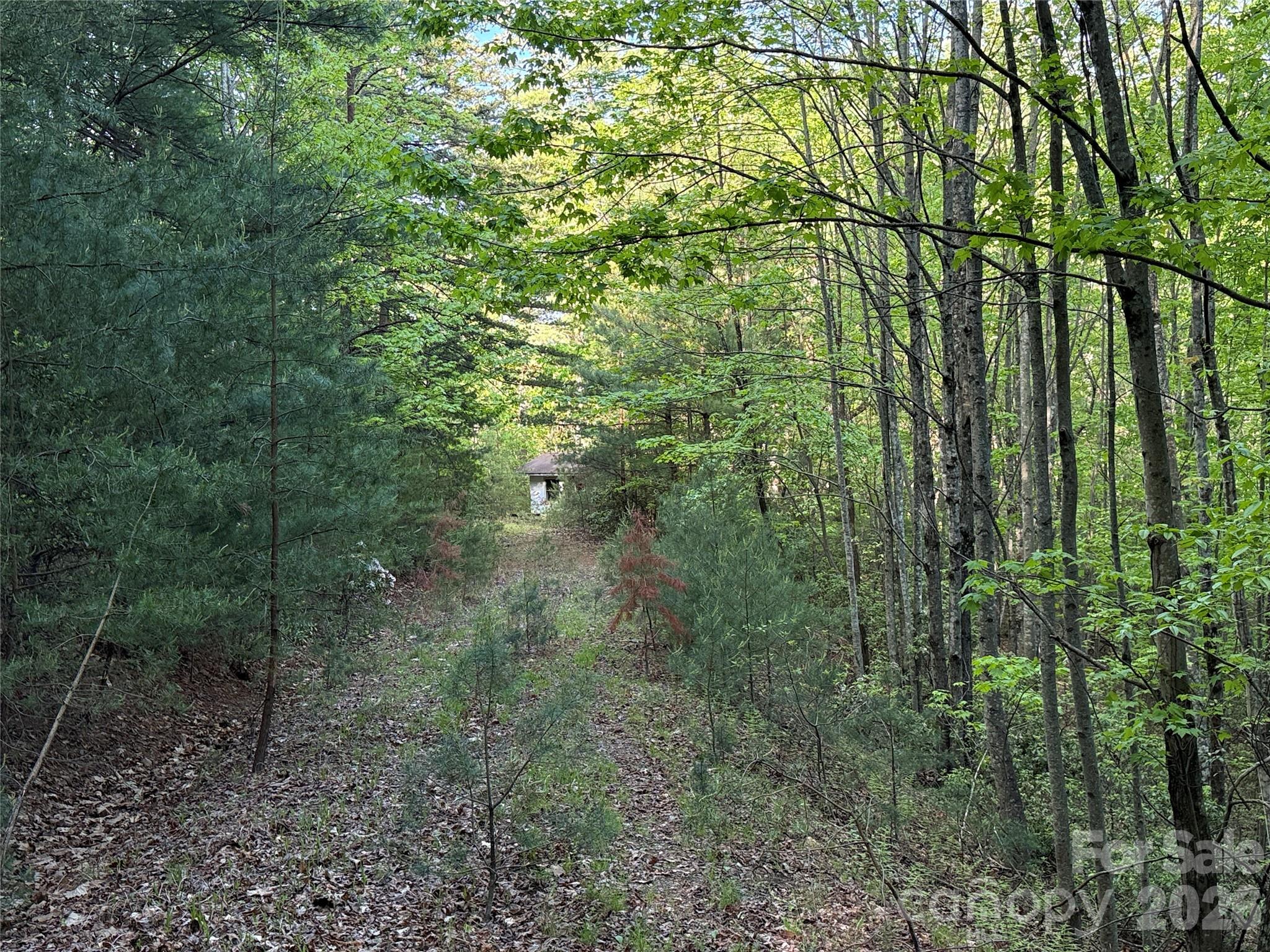 Buck Mountain - Land