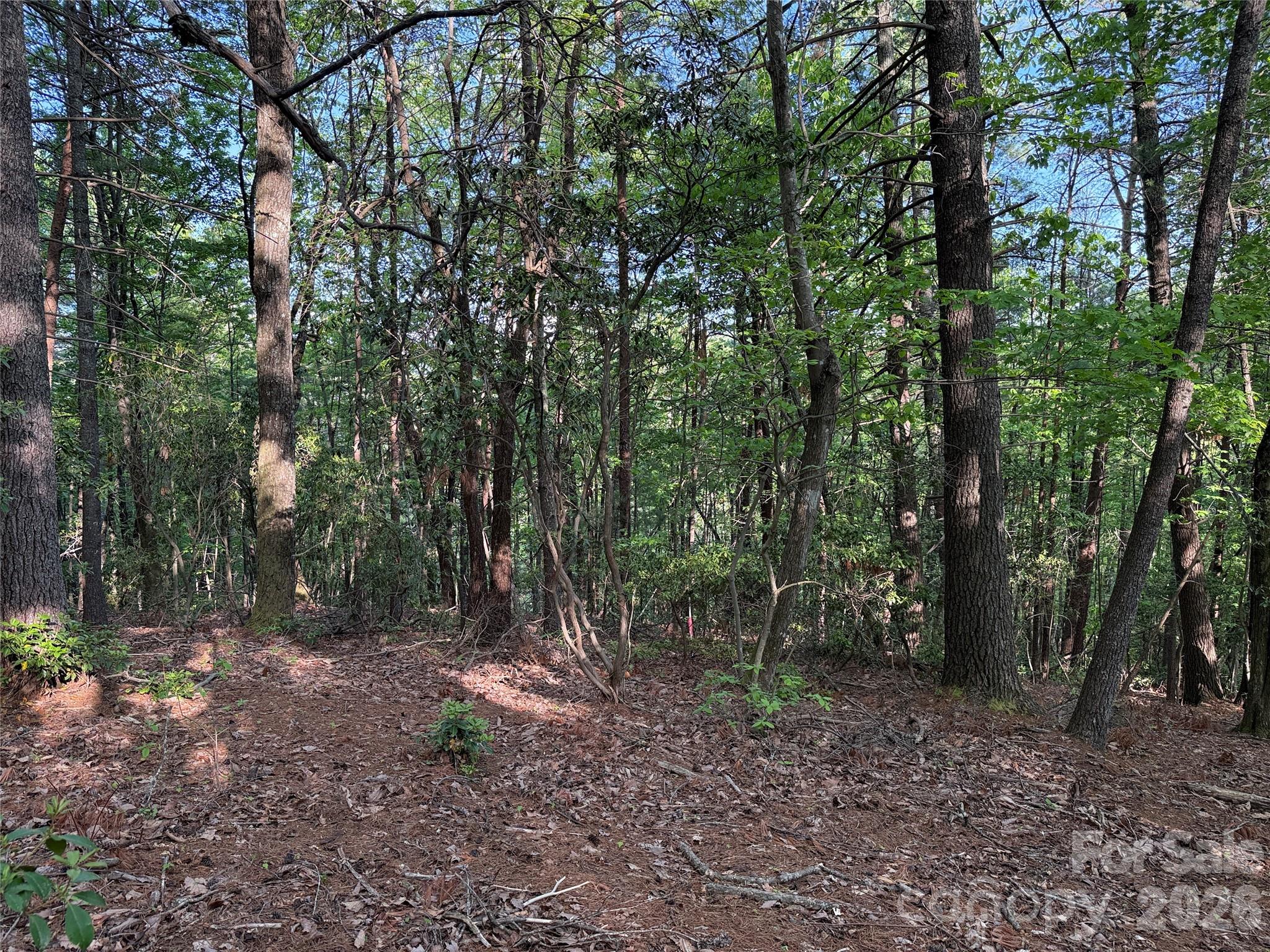 Buck Mountain - Land