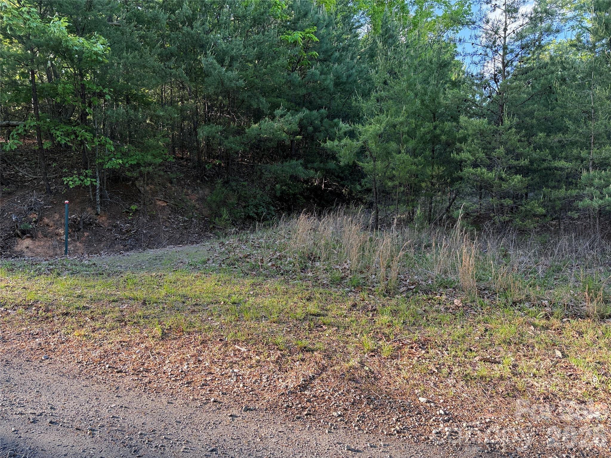 Buck Mountain - Land