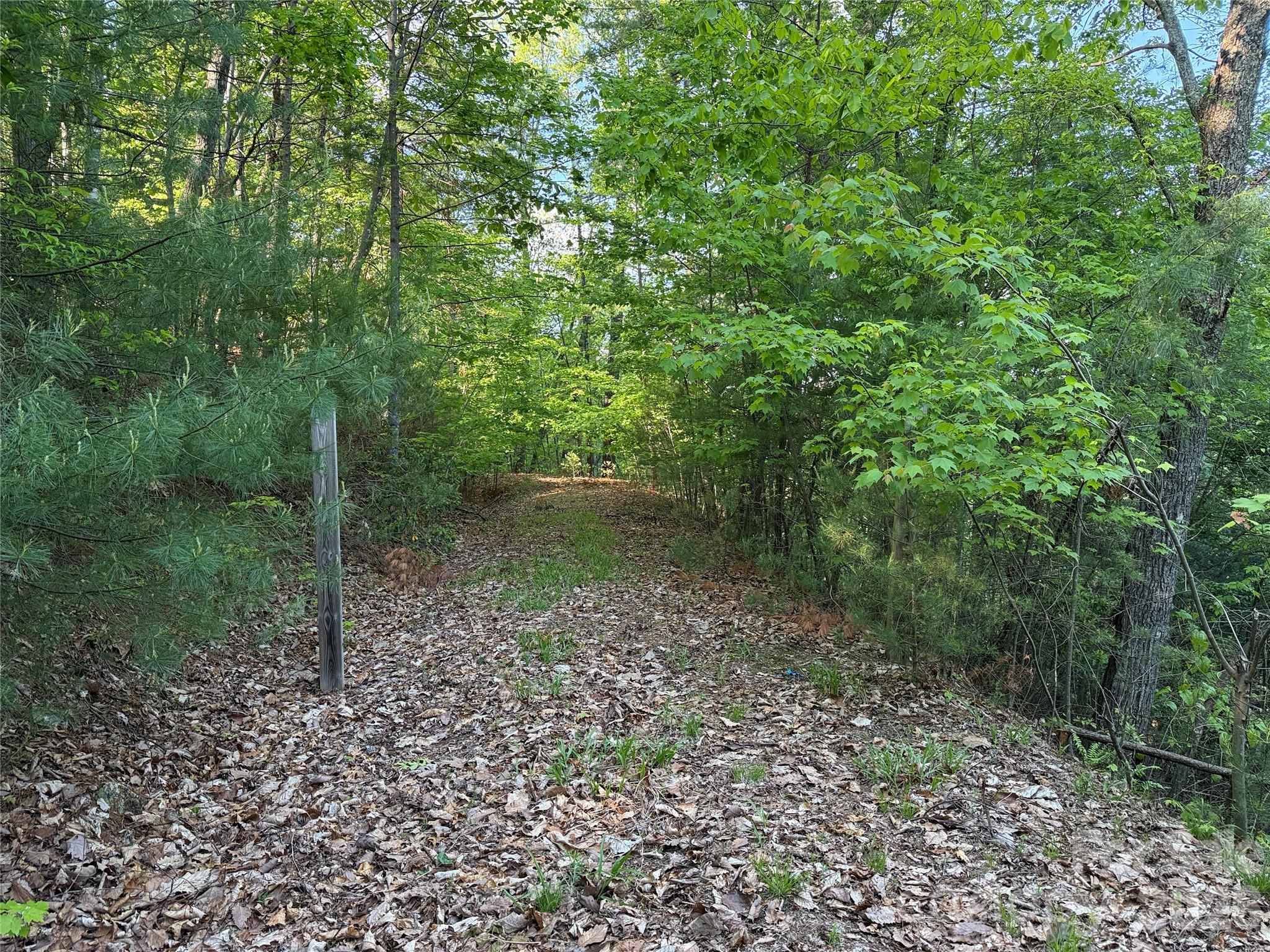 TBD Wolf Pen Road 27