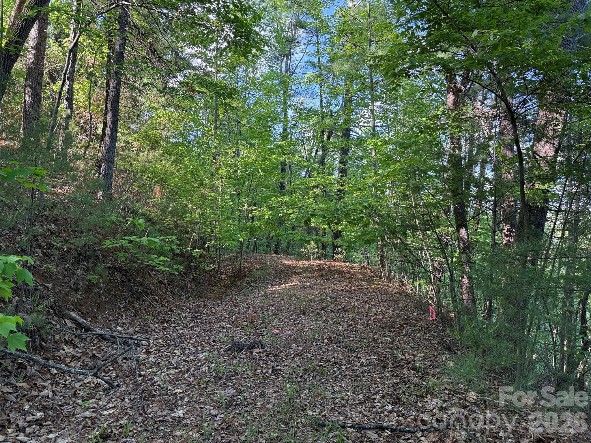 Buck Mountain - Land