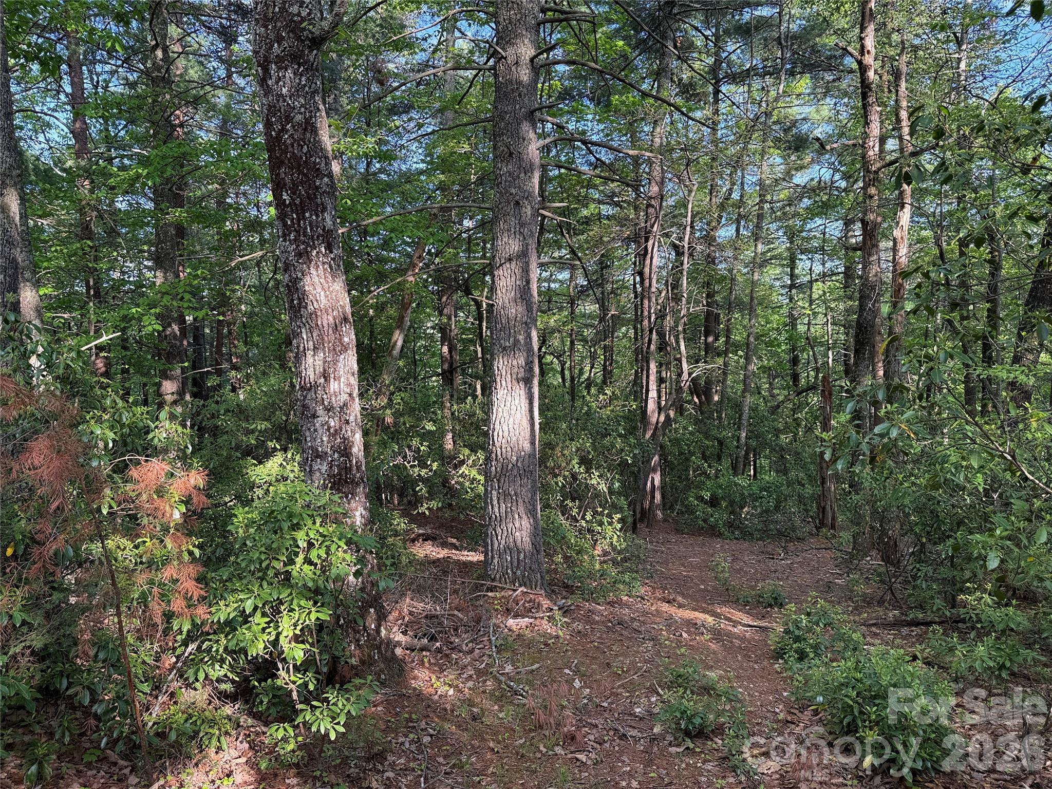 TBD Wolf Pen Road 27