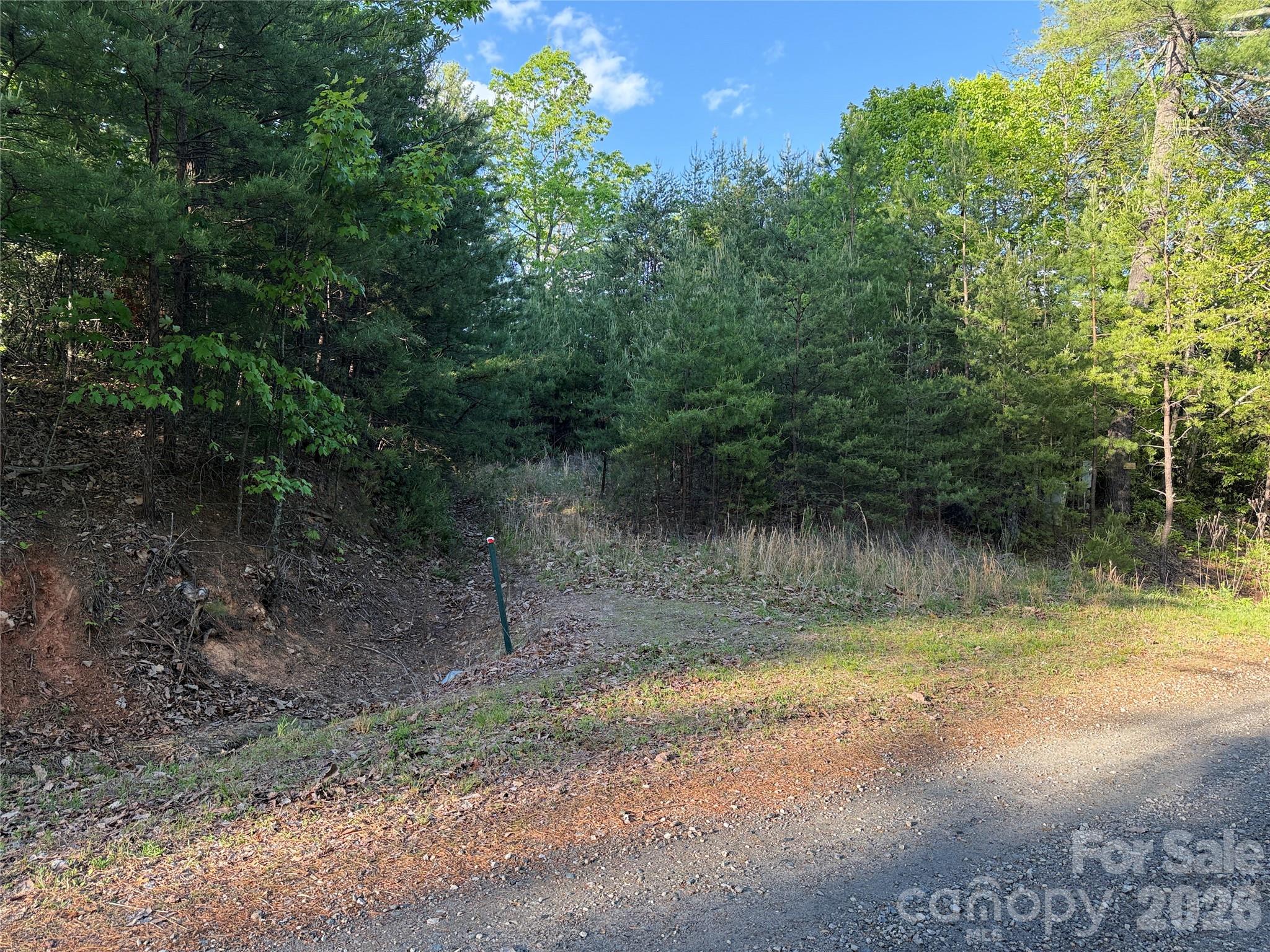 Buck Mountain - Land