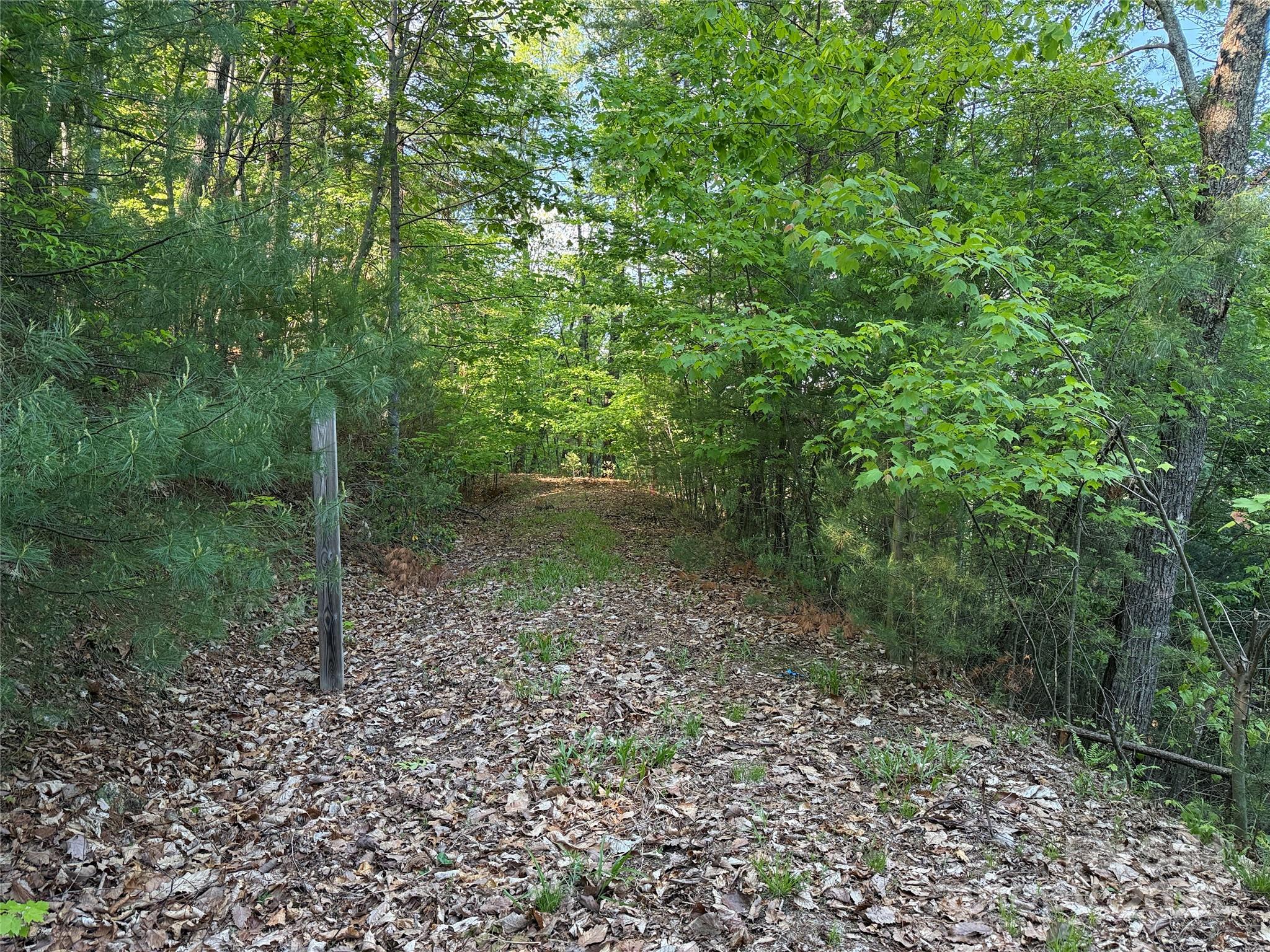 TBD Wolf Pen Road 27