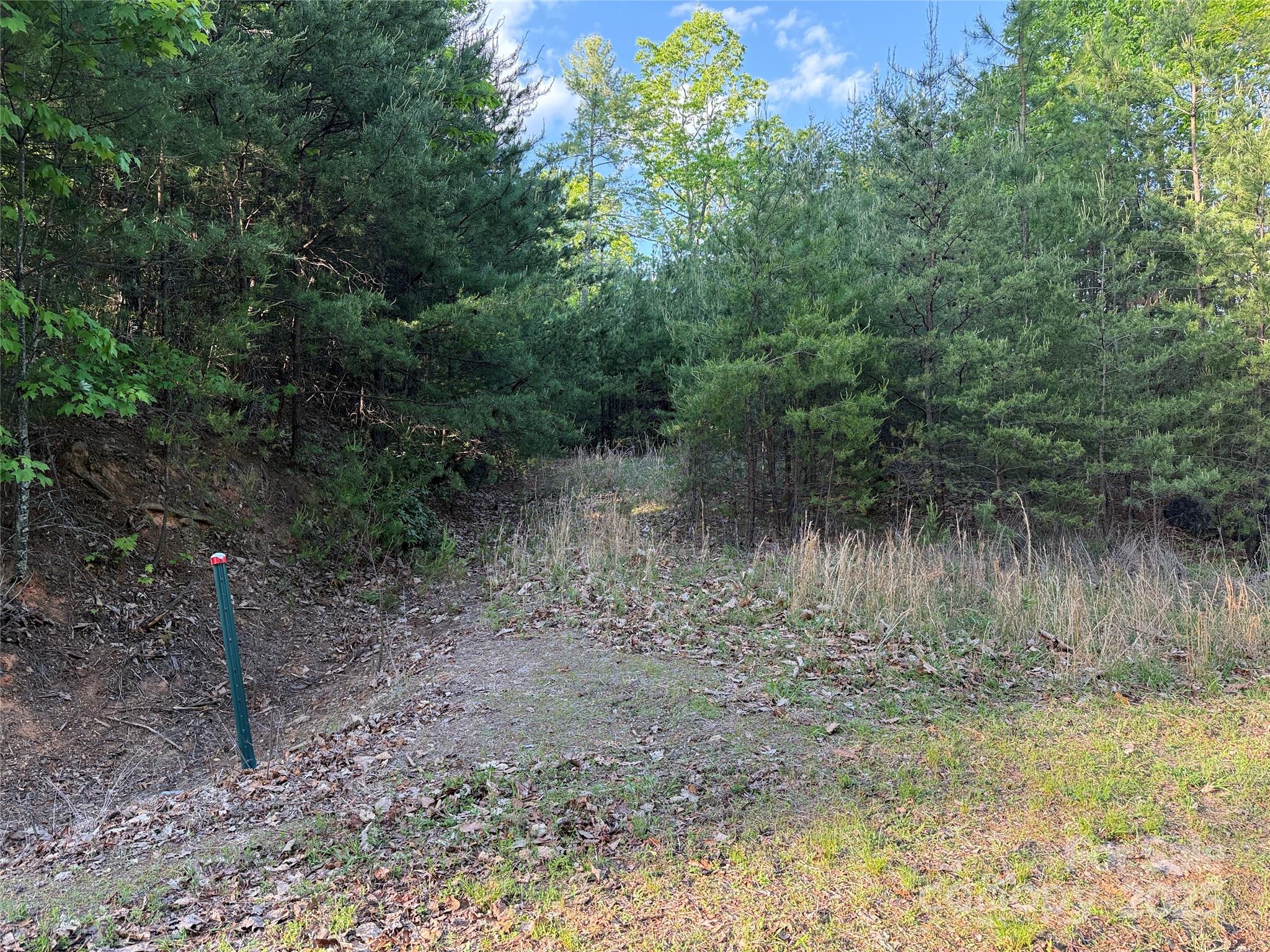 TBD Wolf Pen Road 27