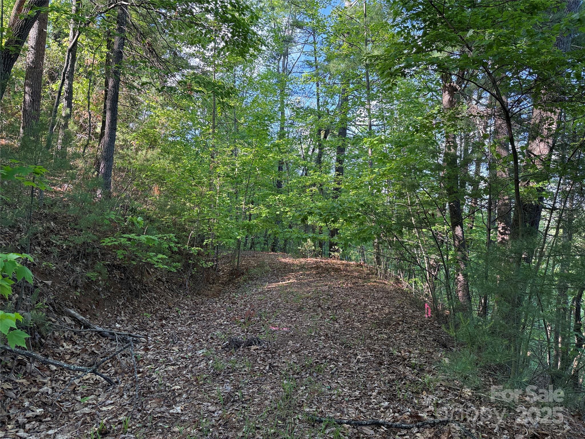 TBD Wolf Pen Road 27