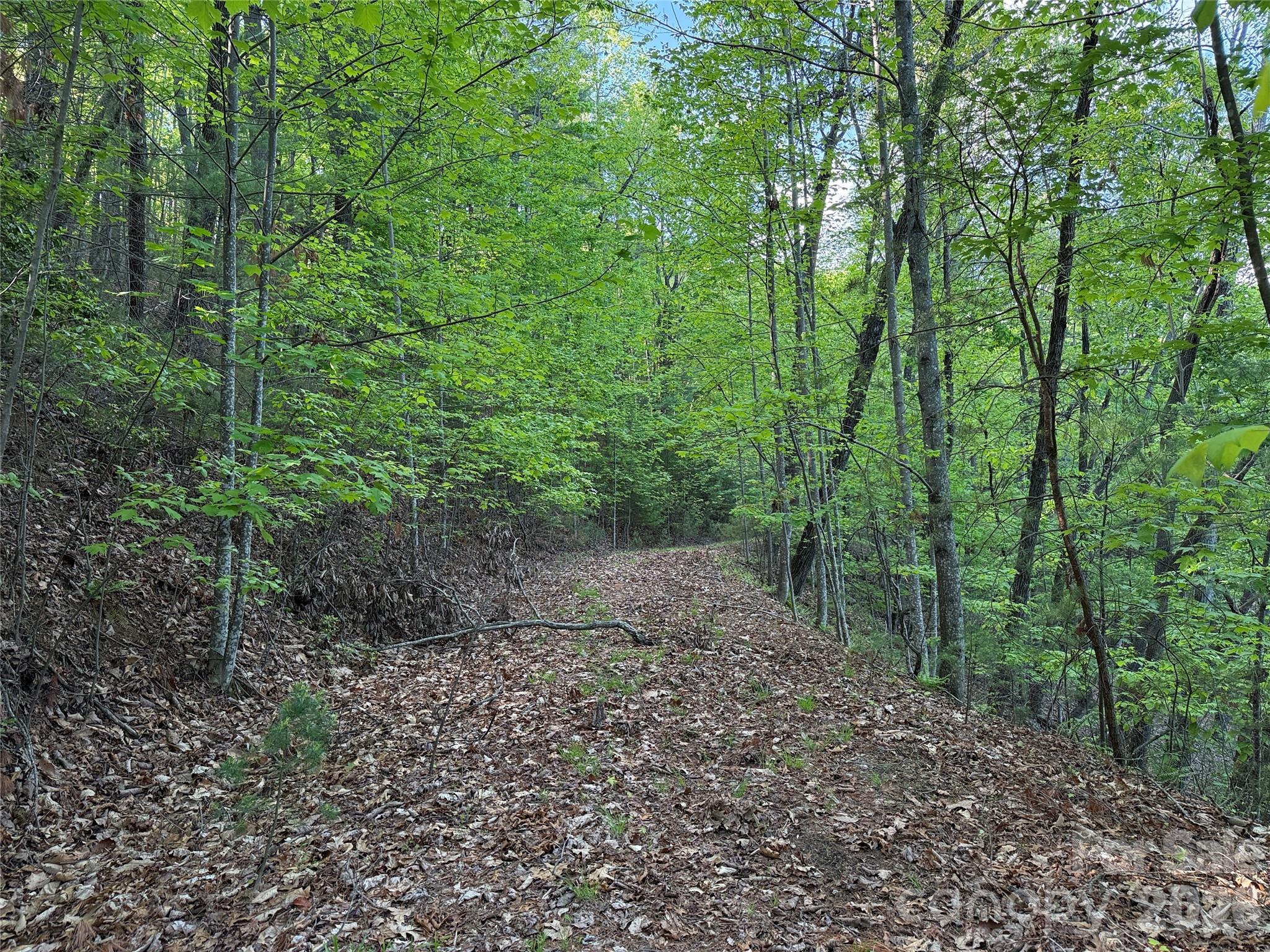 Buck Mountain - Land