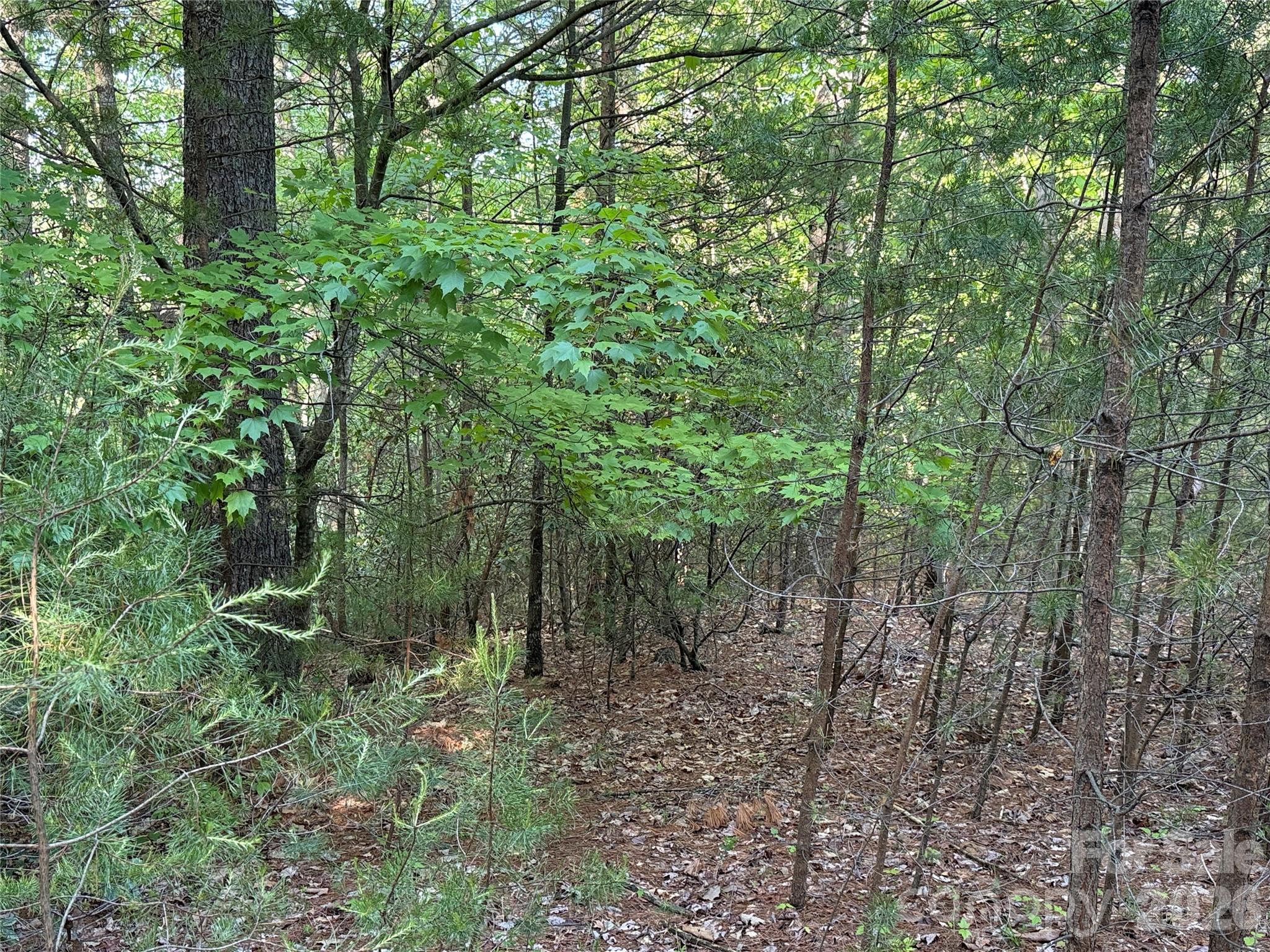 Buck Mountain - Land