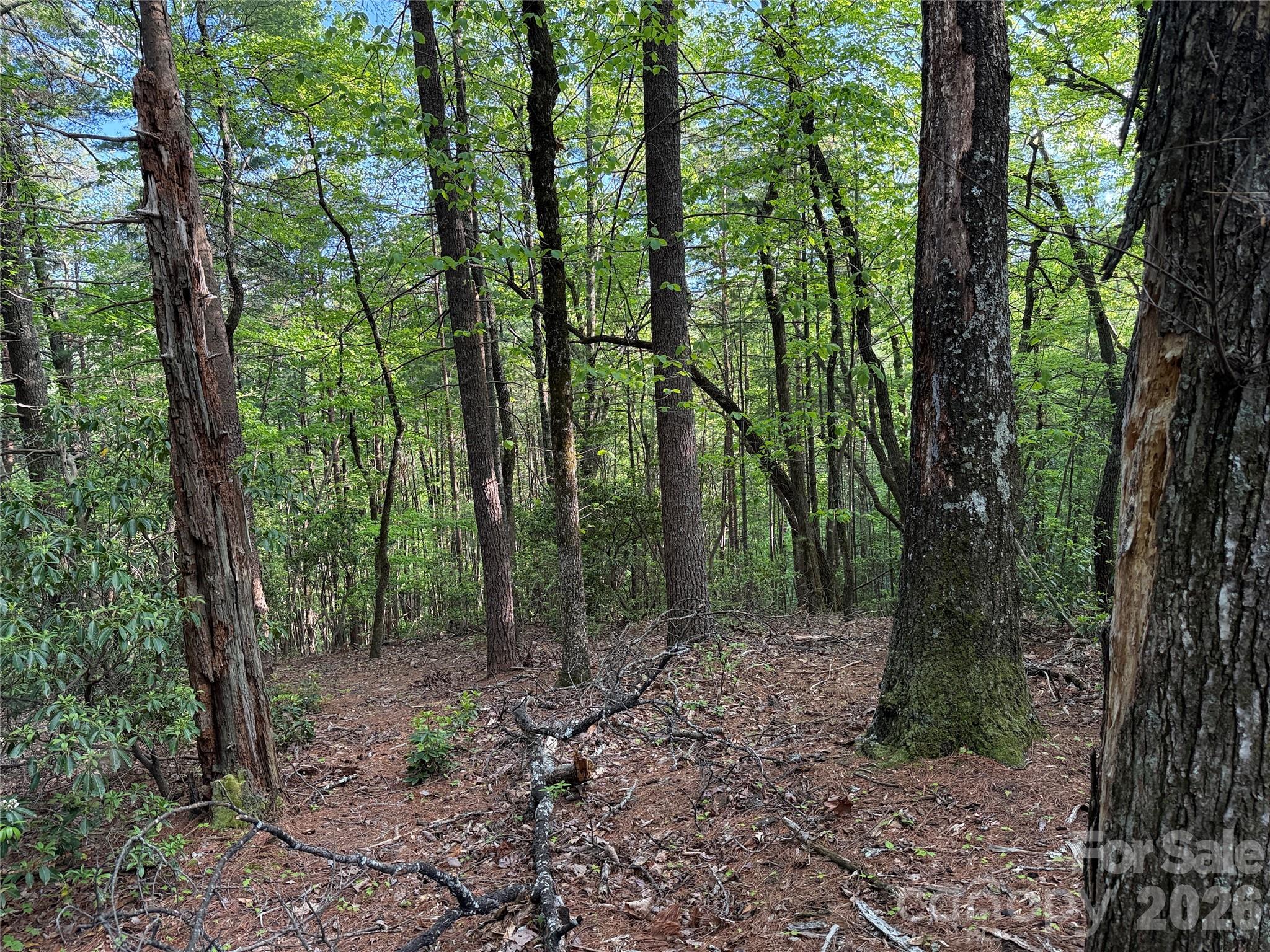 Buck Mountain - Land