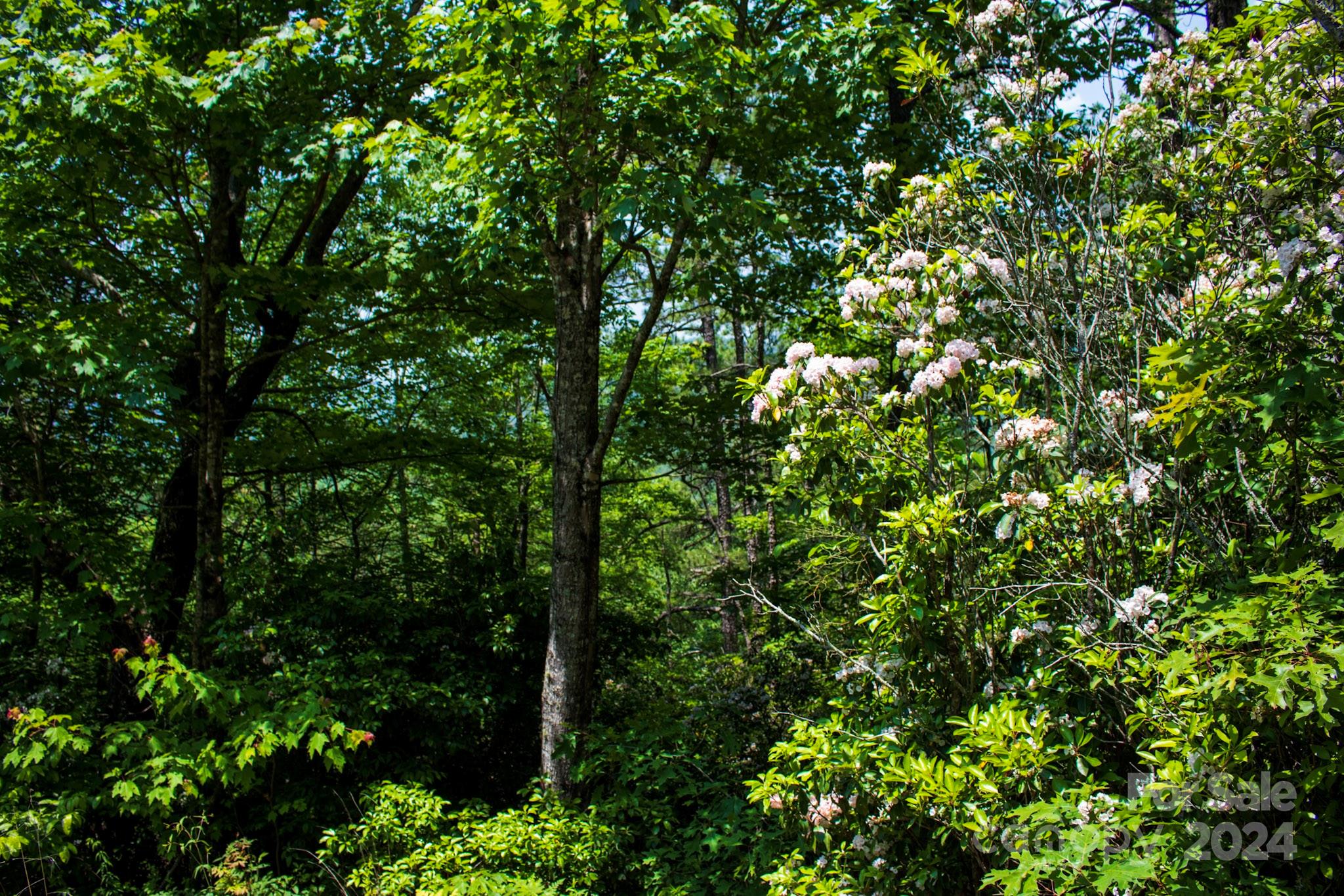 TBD Fox Den Road Lot 57&59