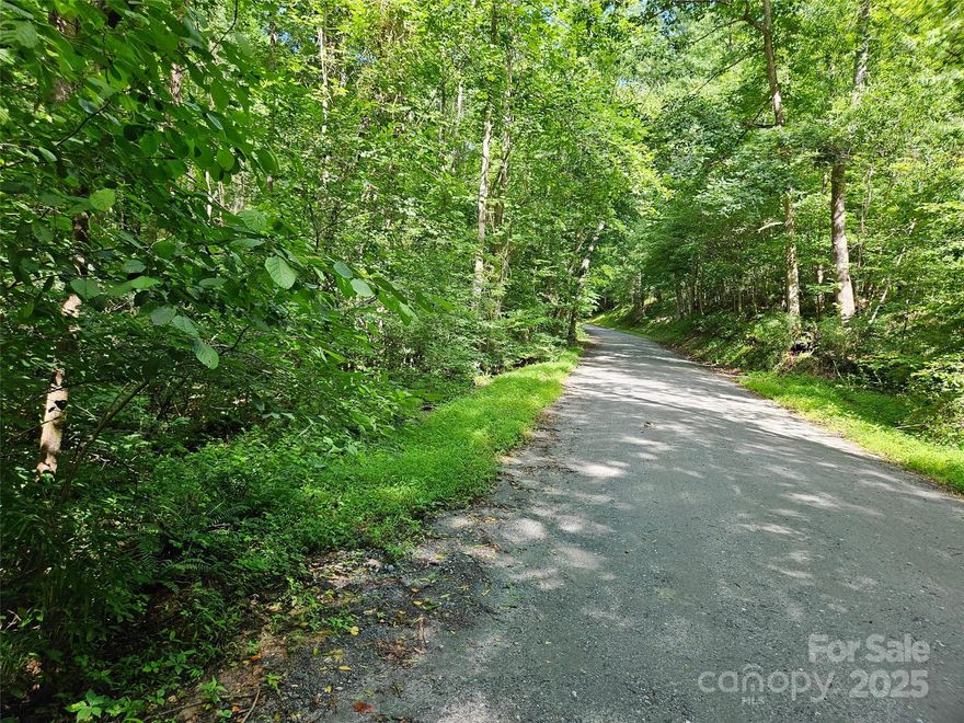 Discover the perfect mountain escape on this .68-acre lot in the private, gated community of Riverbend at Lake Lure. Nestled among the trees, this gently sloping parcel offers a peaceful setting for your future home or vacation retreat. Enjoy exclusive access to two private lakes, hiking trails, a sandy beach, and the Broad River for kayaking or fishing. Community amenities include picnic areas, a pavilion, and walking trails—all surrounded by natural beauty and mountain views. Just minutes from Lake Lure, Chimney Rock, and local dining. Ideal for full-time living,
weekend getaways, or investment. Short-term rentals allowed with restrictions.