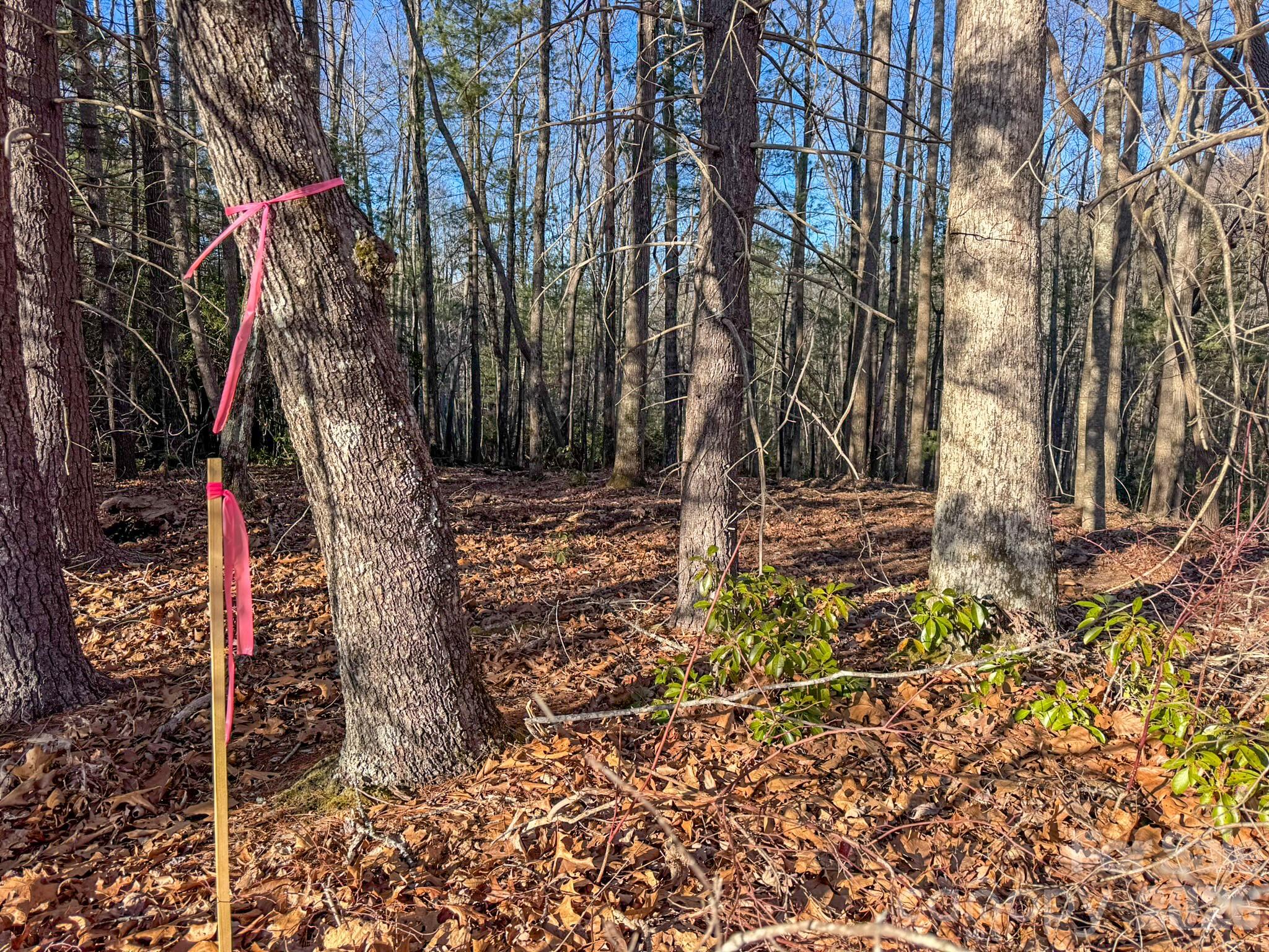 Settlers Ridge - Land
