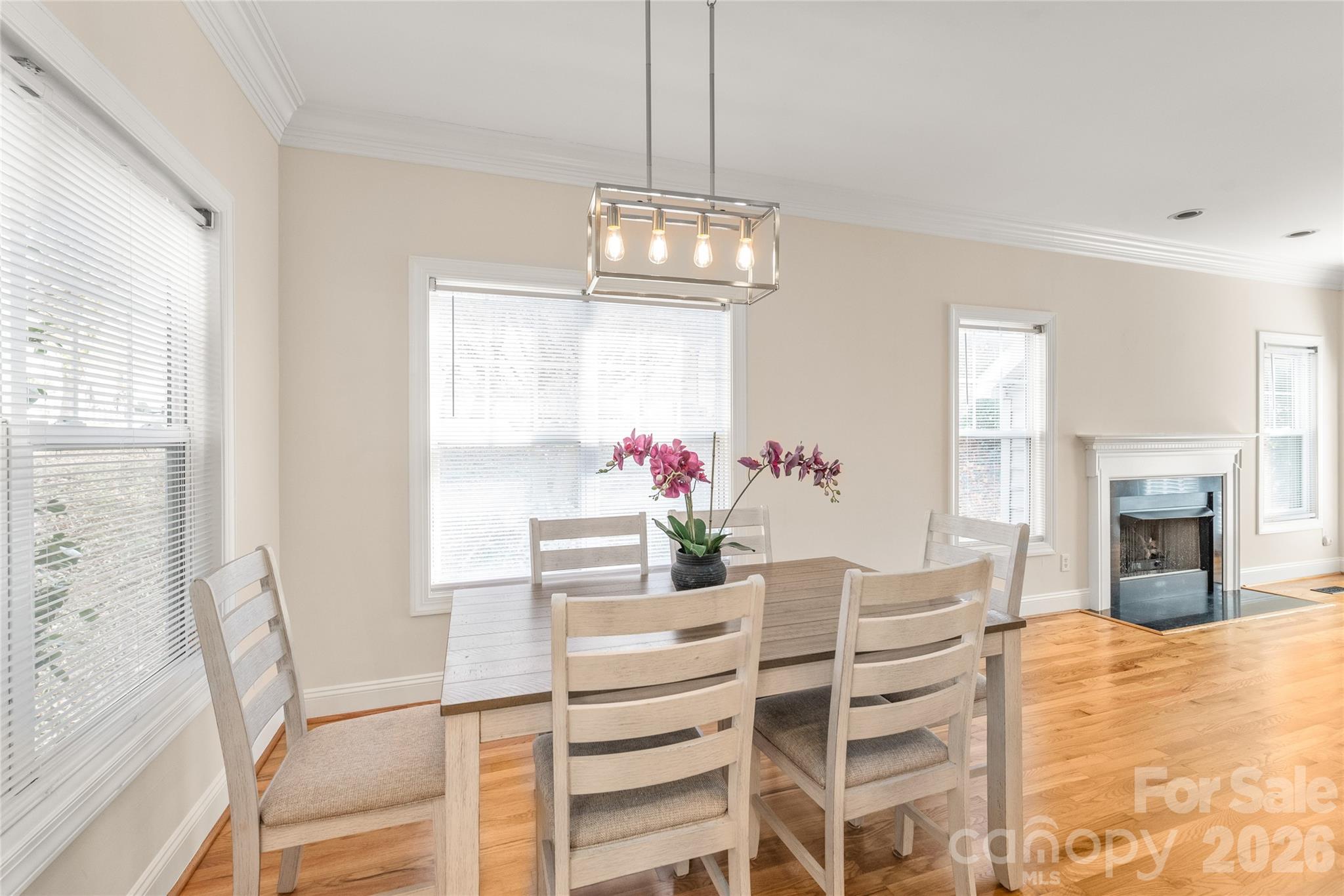 Ballantyne Meadows - Residential