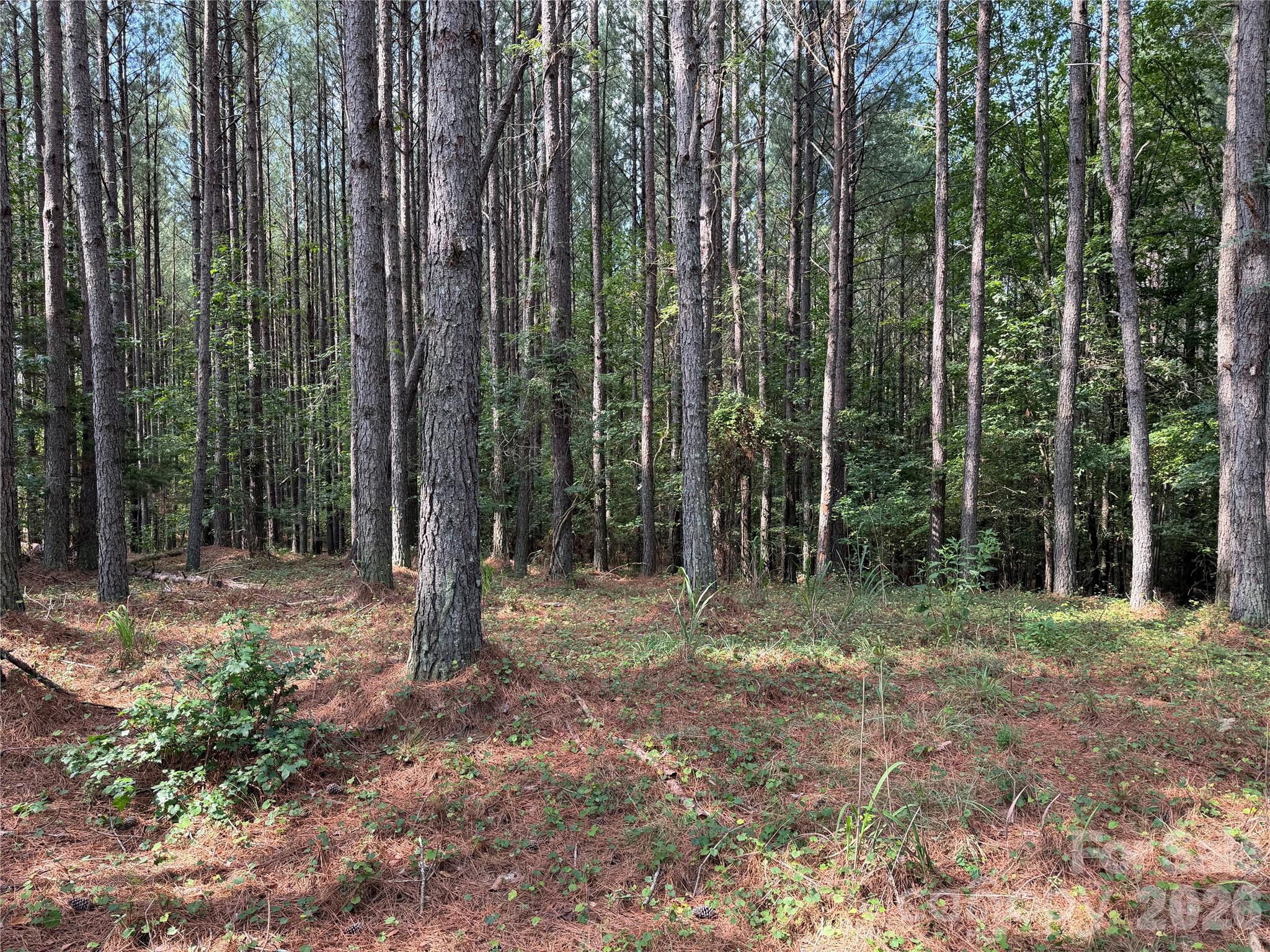 151 Whispering Pines Lane