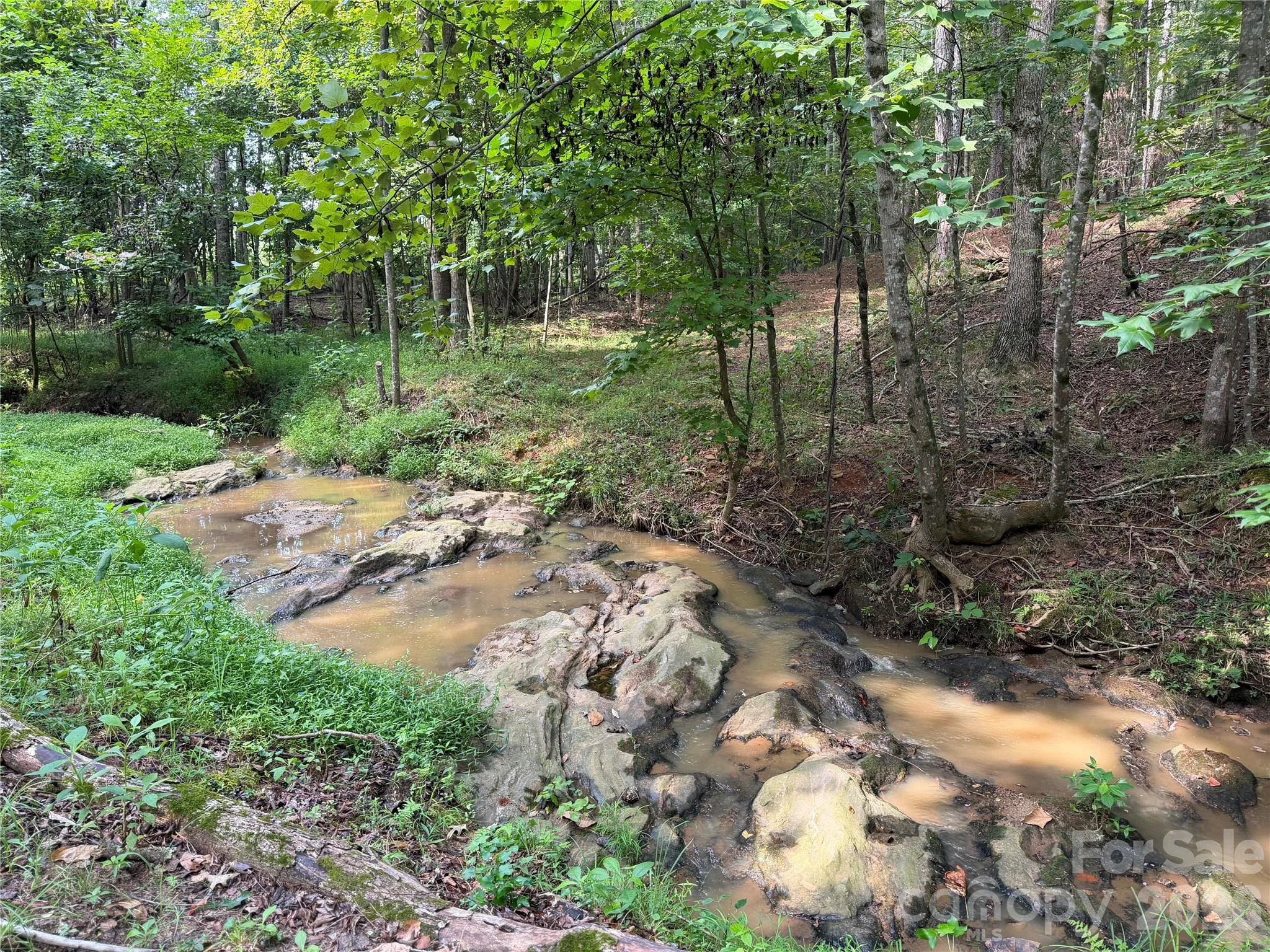 151 Whispering Pines Lane, Mooresboro, NC, 28114