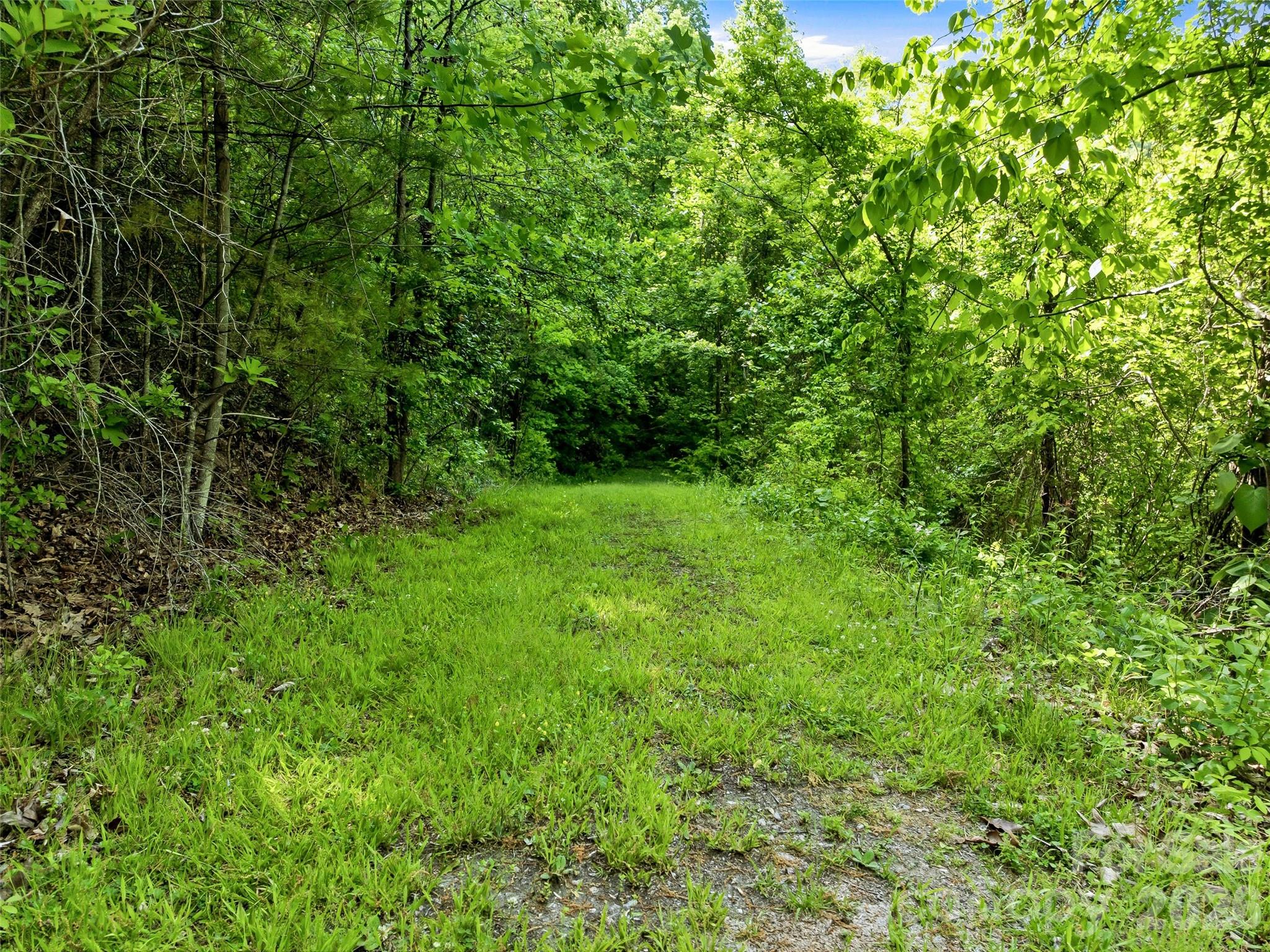 948 Cove Creek Lane