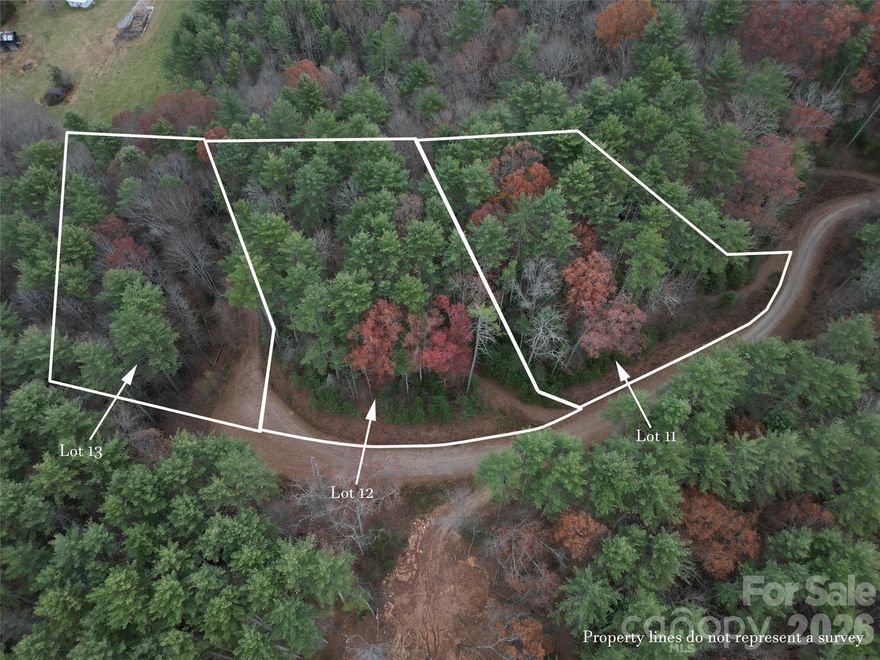 Build your own mountain retreat in Dream Valley, nestled in the Panther Creek area of Haywood County. This extremely buildable lot is ready for your vision, featuring a driveway already cut in and ready for you to make your dream mountain home a reality. Located within a gated community with buried power lines and Spectrum fiber optic internet available, you'll have the perfect blend of privacy and modern convenience. Residents enjoy a scenic walking trail leading to a cascading waterfall that flows into the picturesque Pigeon River. Ideally situated outside Waynesville and a short drive to Asheville, with easy access to Great Smoky Mountains National Park and Tennessee.