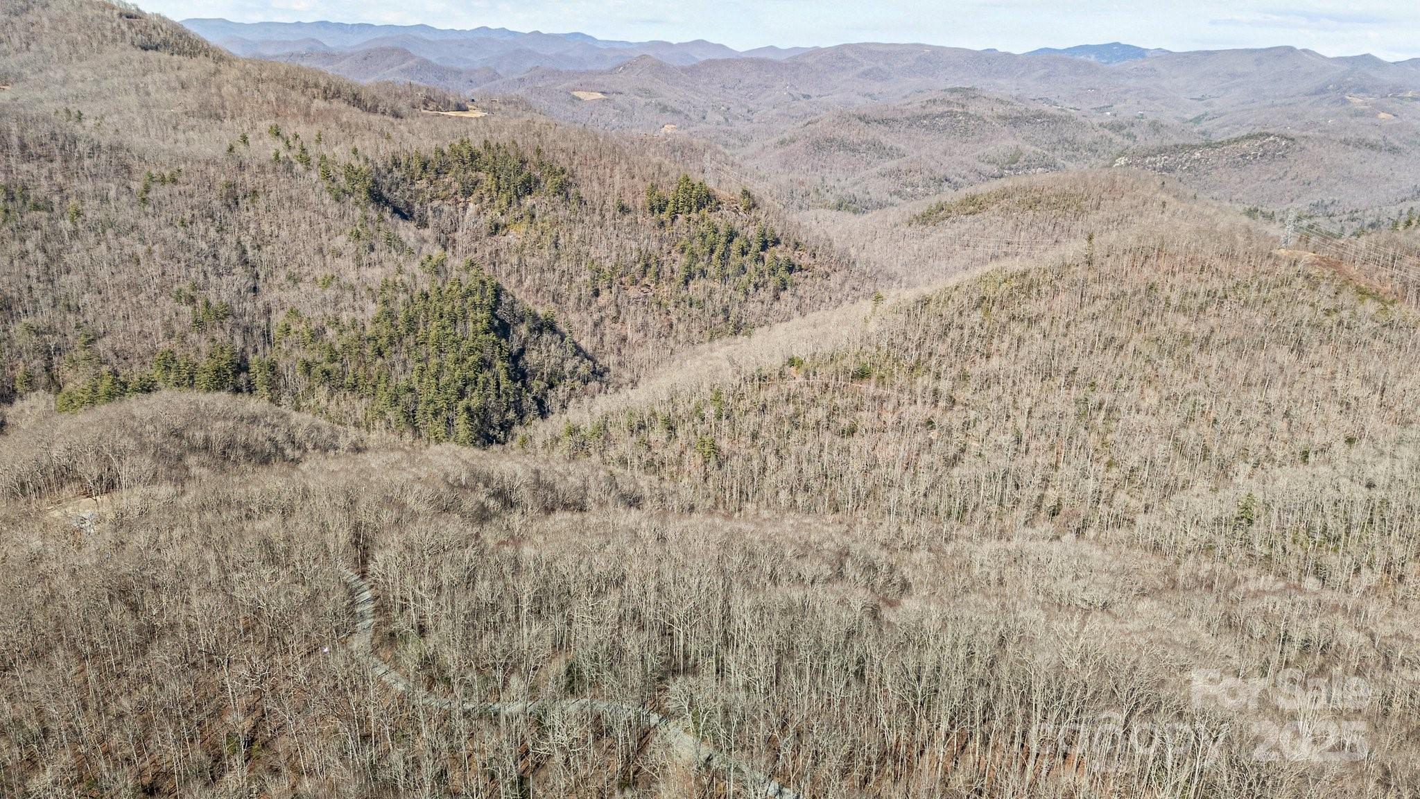 Lot F115 Leafy Knoll Circle