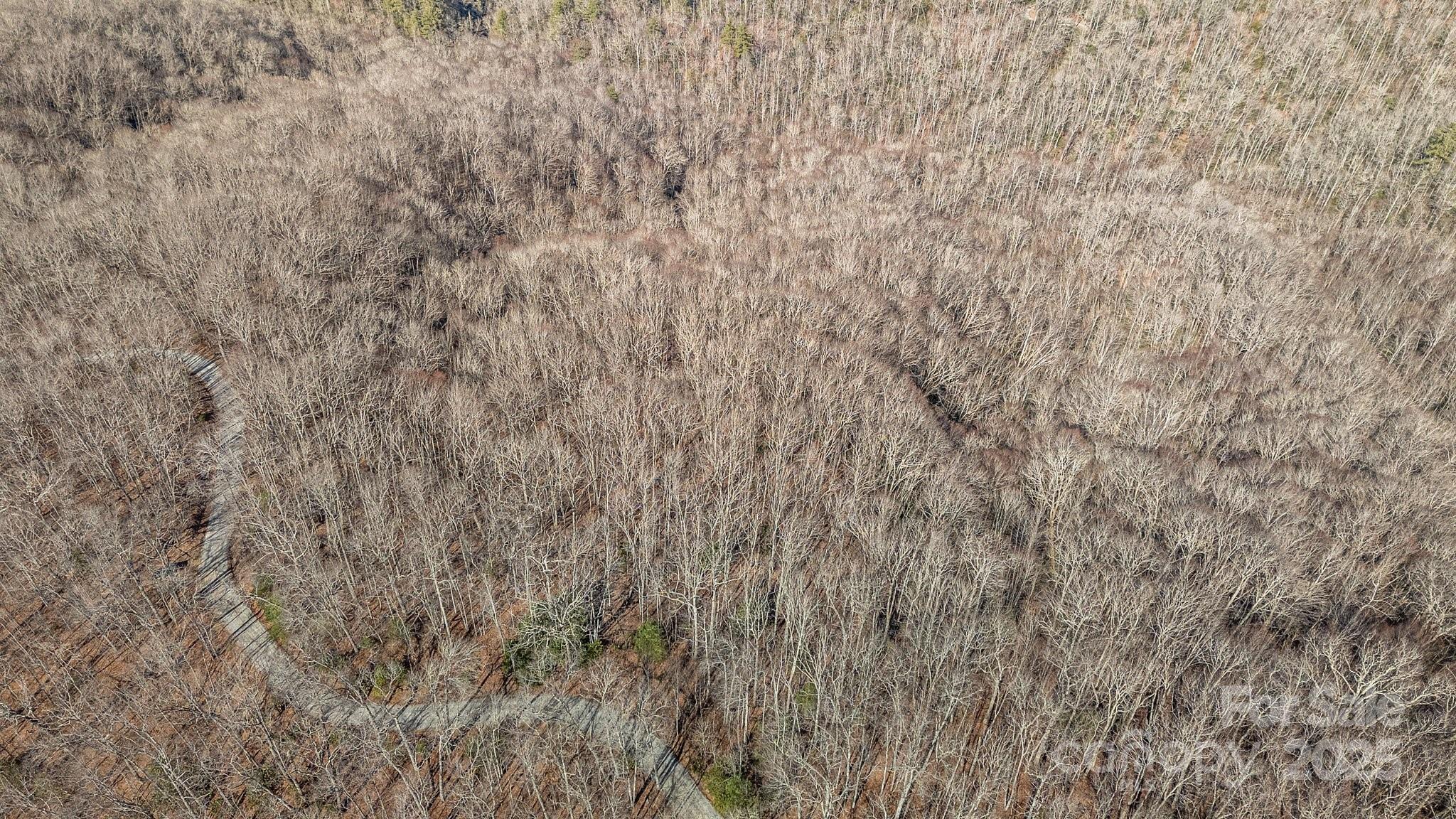 Lot F115 Leafy Knoll Circle