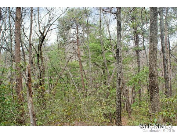 Piney Mountain - Land