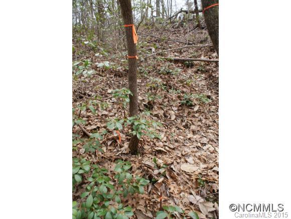 Piney Mountain - Land