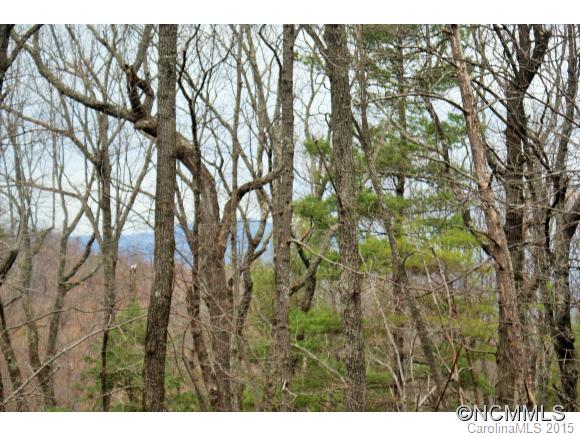 Piney Mountain - Land