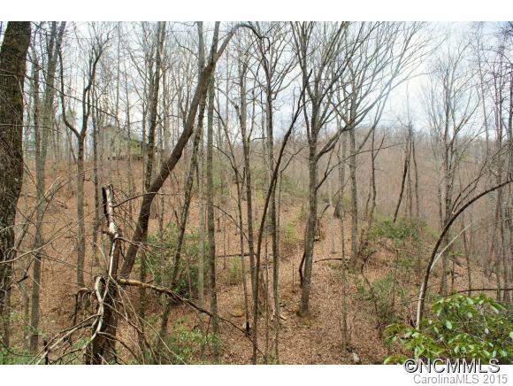 Piney Mountain - Land