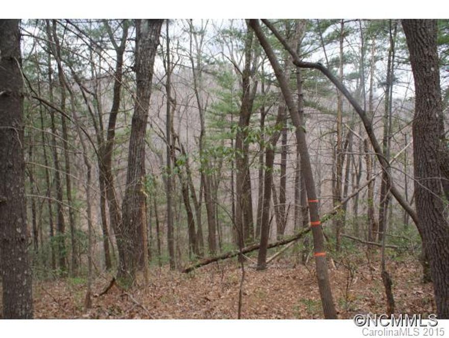 Level/sloping lot, easy to build on with great potential for mountain views. Property lines are clearly marked. Piney Mountain is a private community nestled in NC Wildlife Game Lands, a mixture of vacation & full-time homes, sought out for its beautiful views, peaceful solitude & friendly neighbors.  A good investment at $20,000.  Tax value is $48,340. Ready for your dream home.