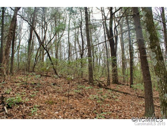 Piney Mountain - Land